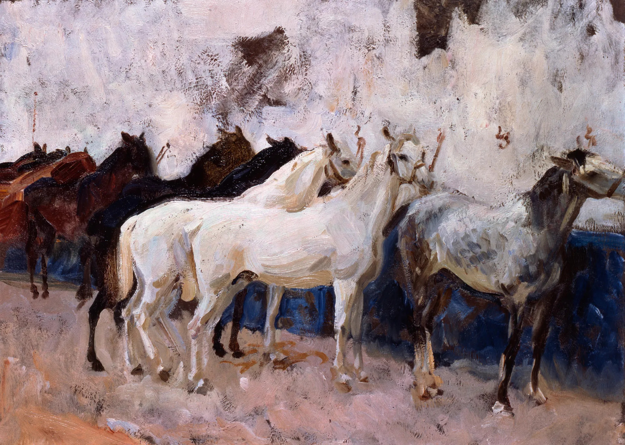 Horses at Palma