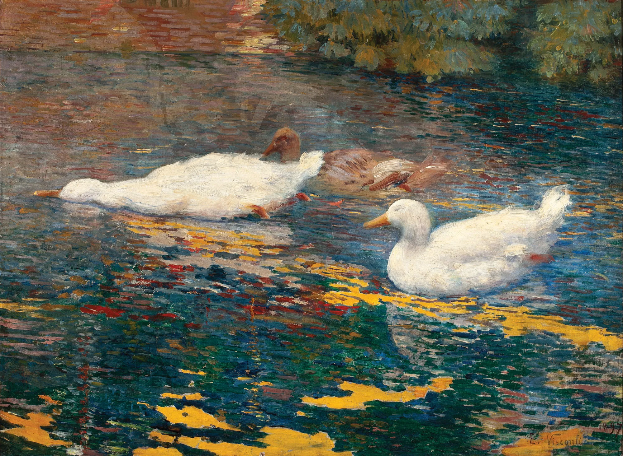 Patinhos no Lago