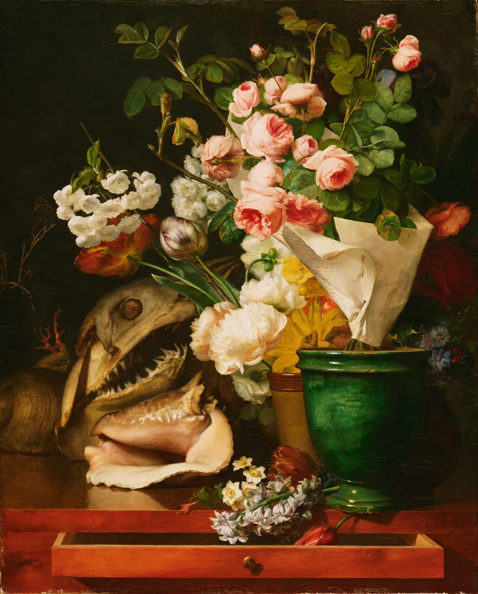 Still Life with Flowers, Shells, and Shark's Head