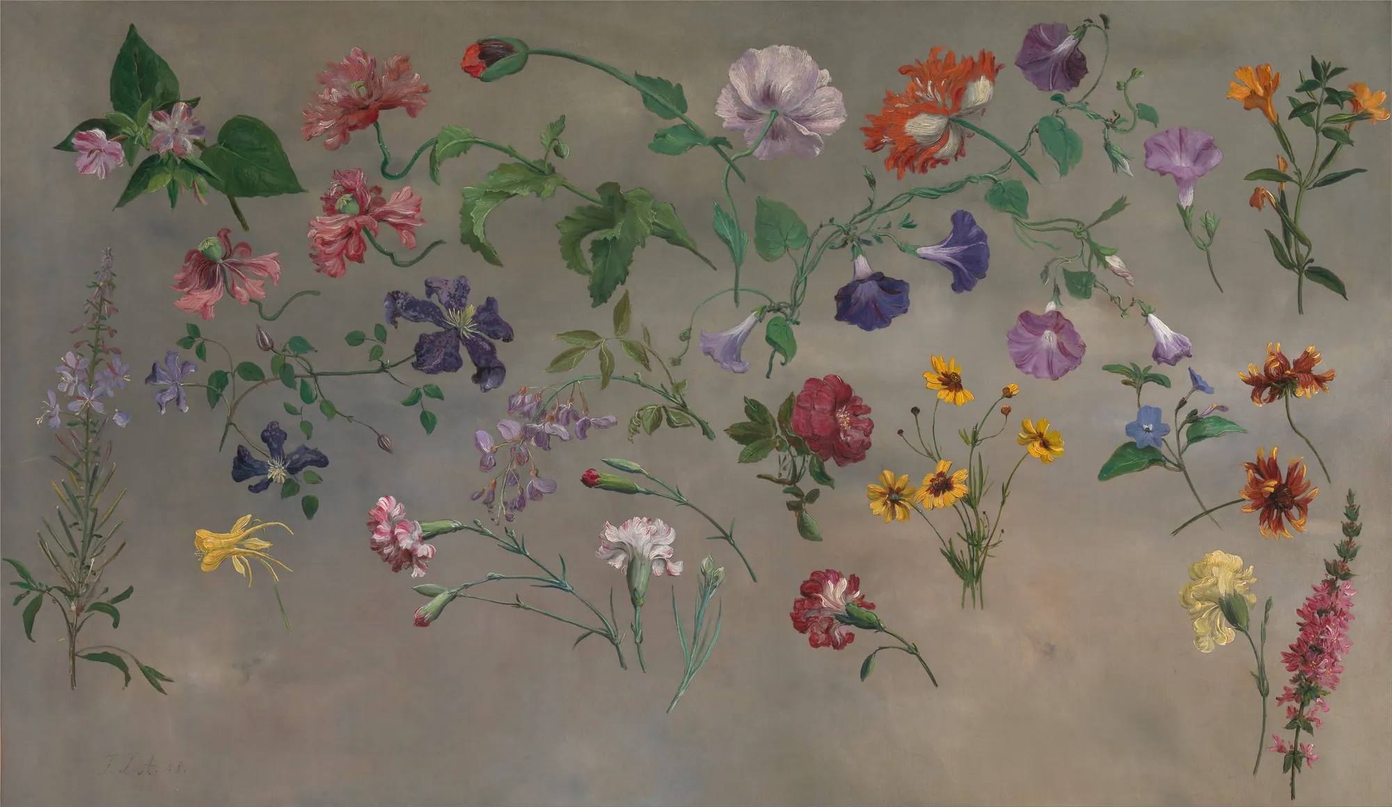 Studies of Flowers