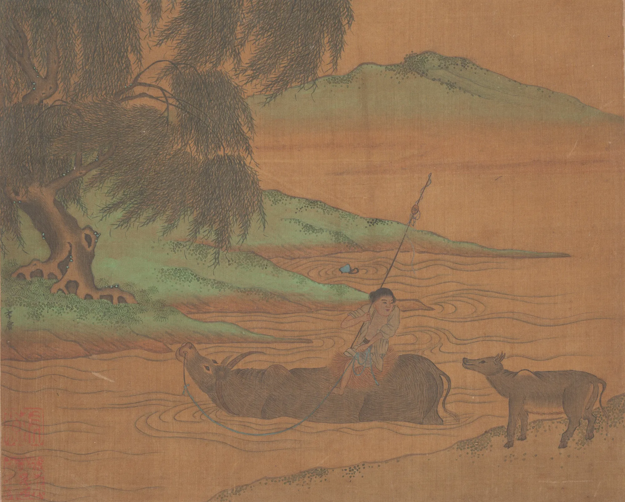 Water Buffalo