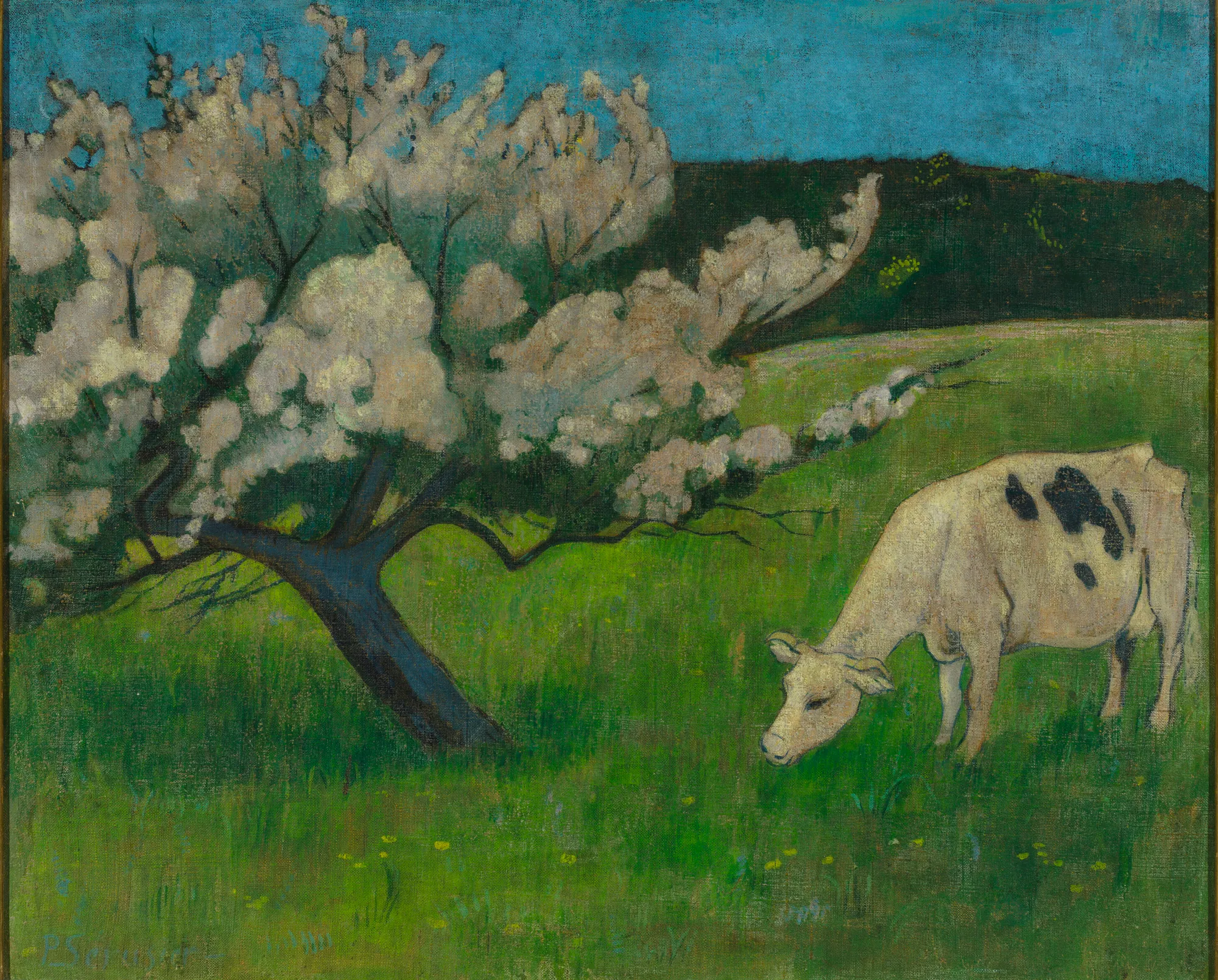 The White Cow