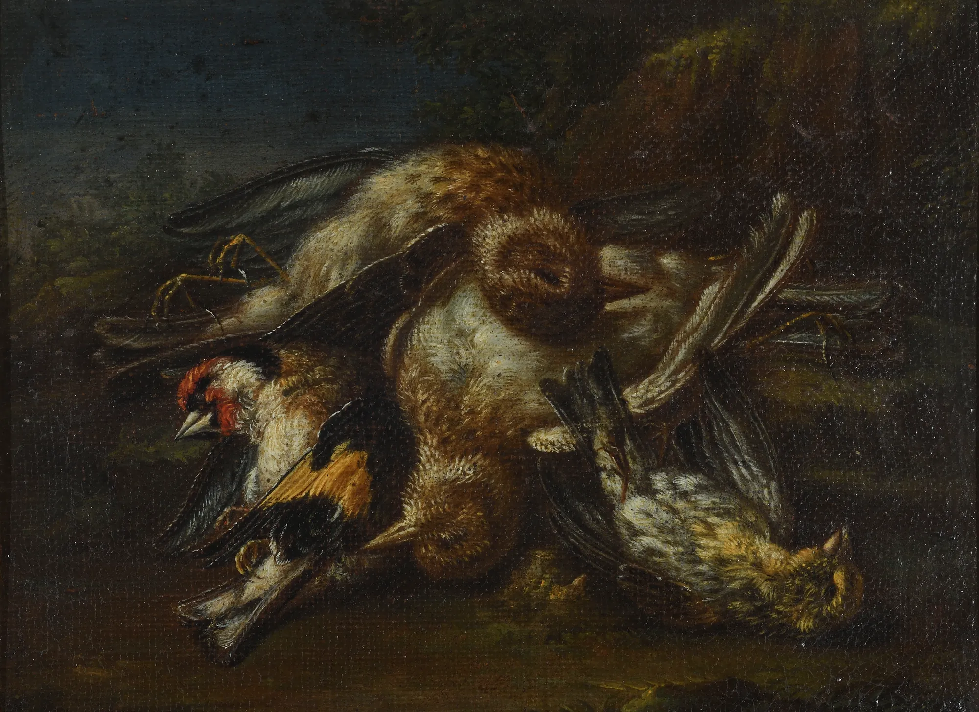 Still Life with Dead Birds