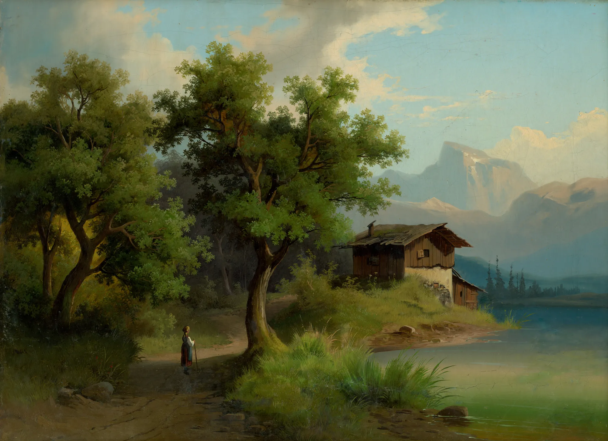 Alpine Landscape