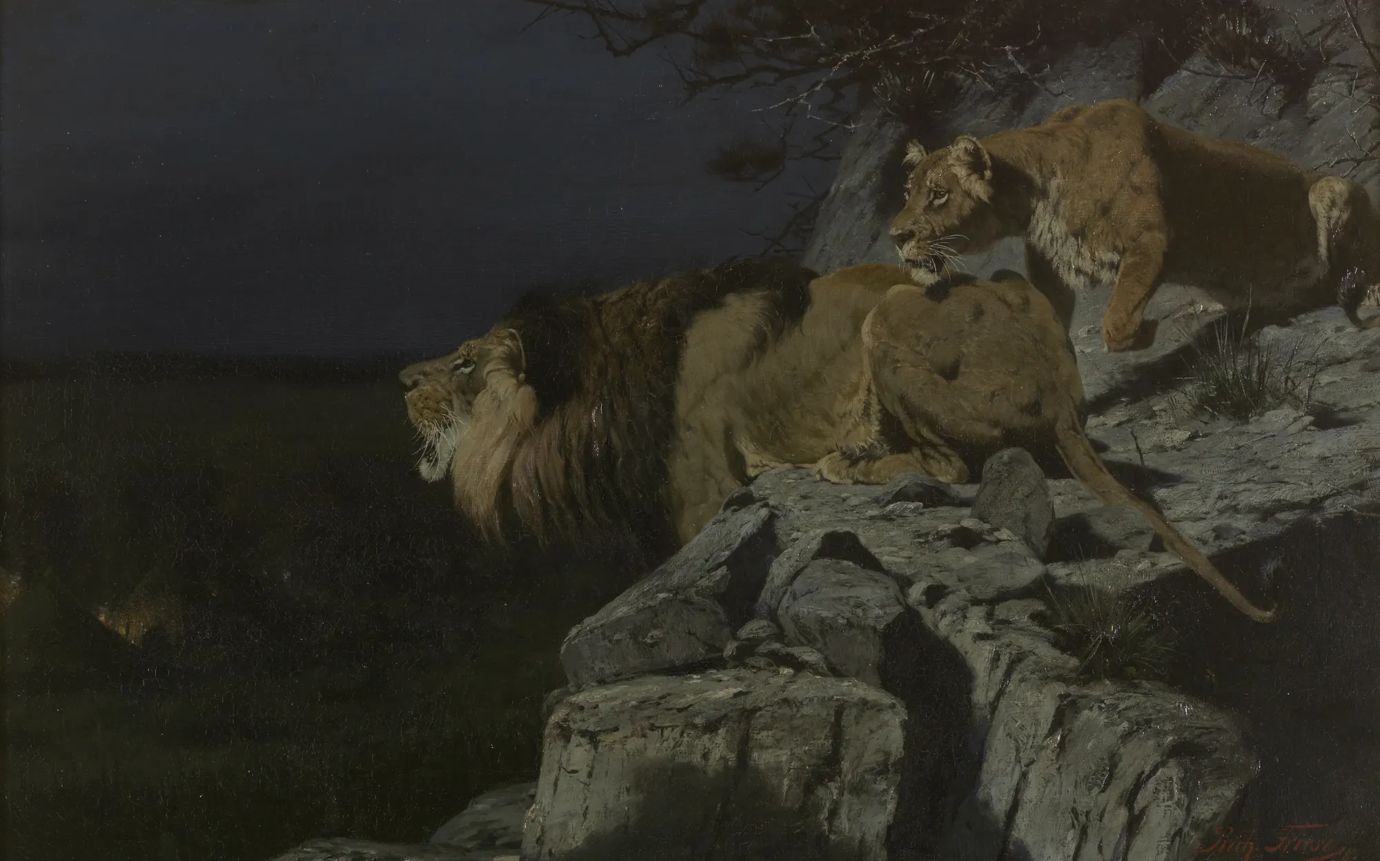 Lion Pair Lurking at a Night Campfire