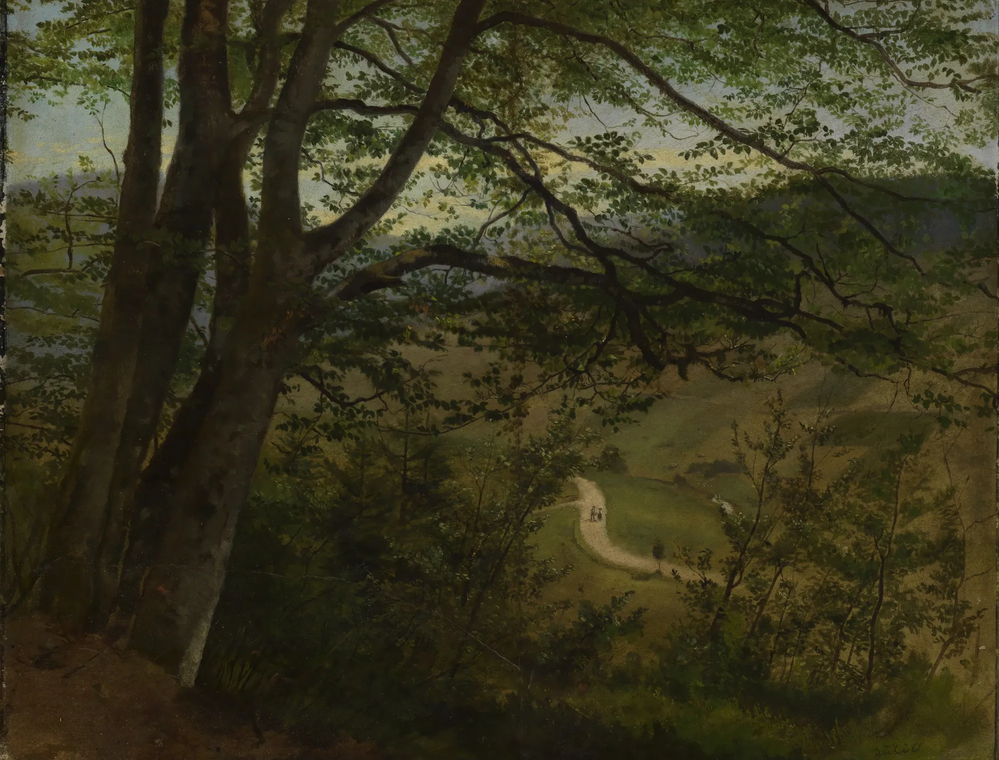 View Through Trees into a Valley