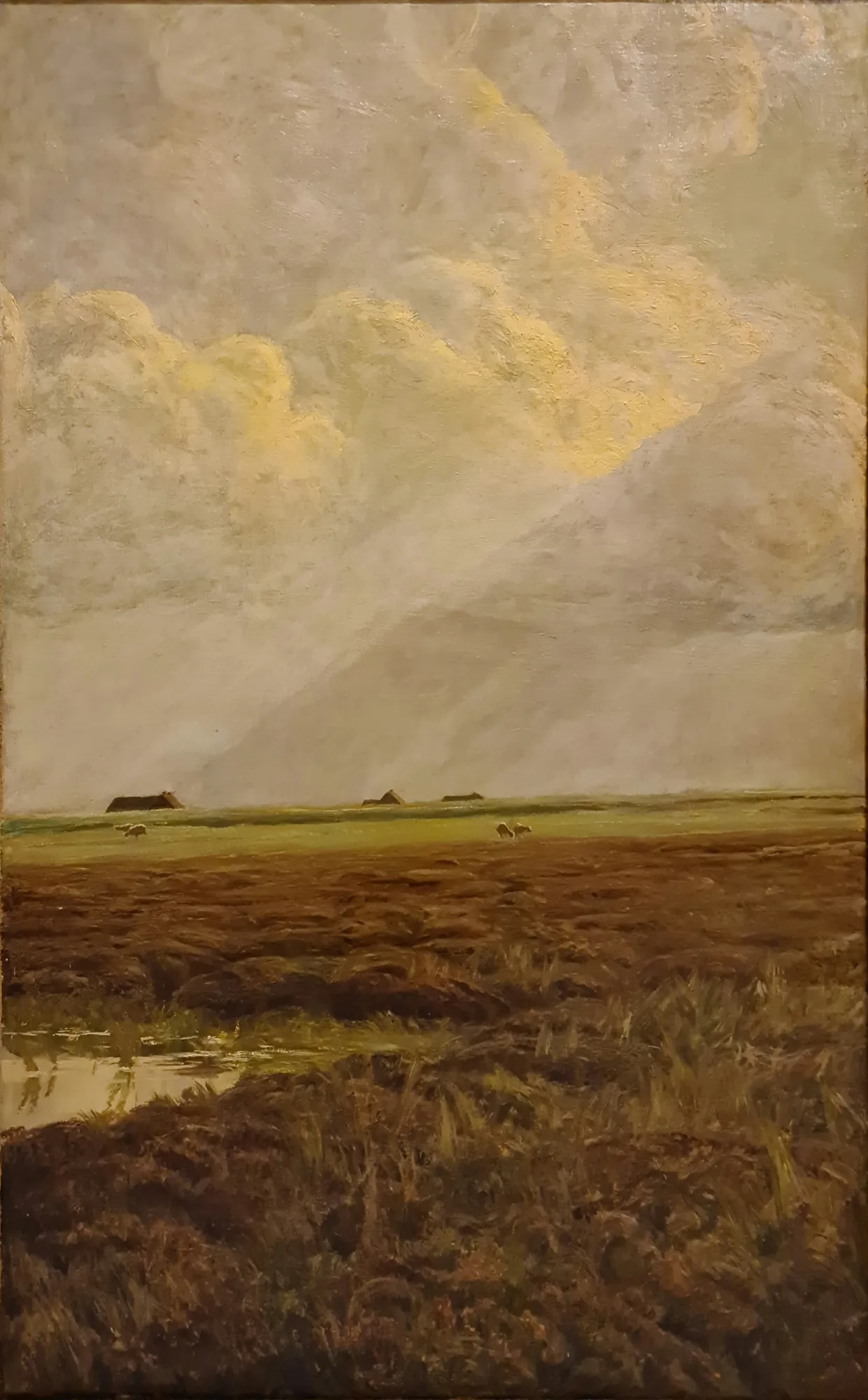 A Bog on a Heath