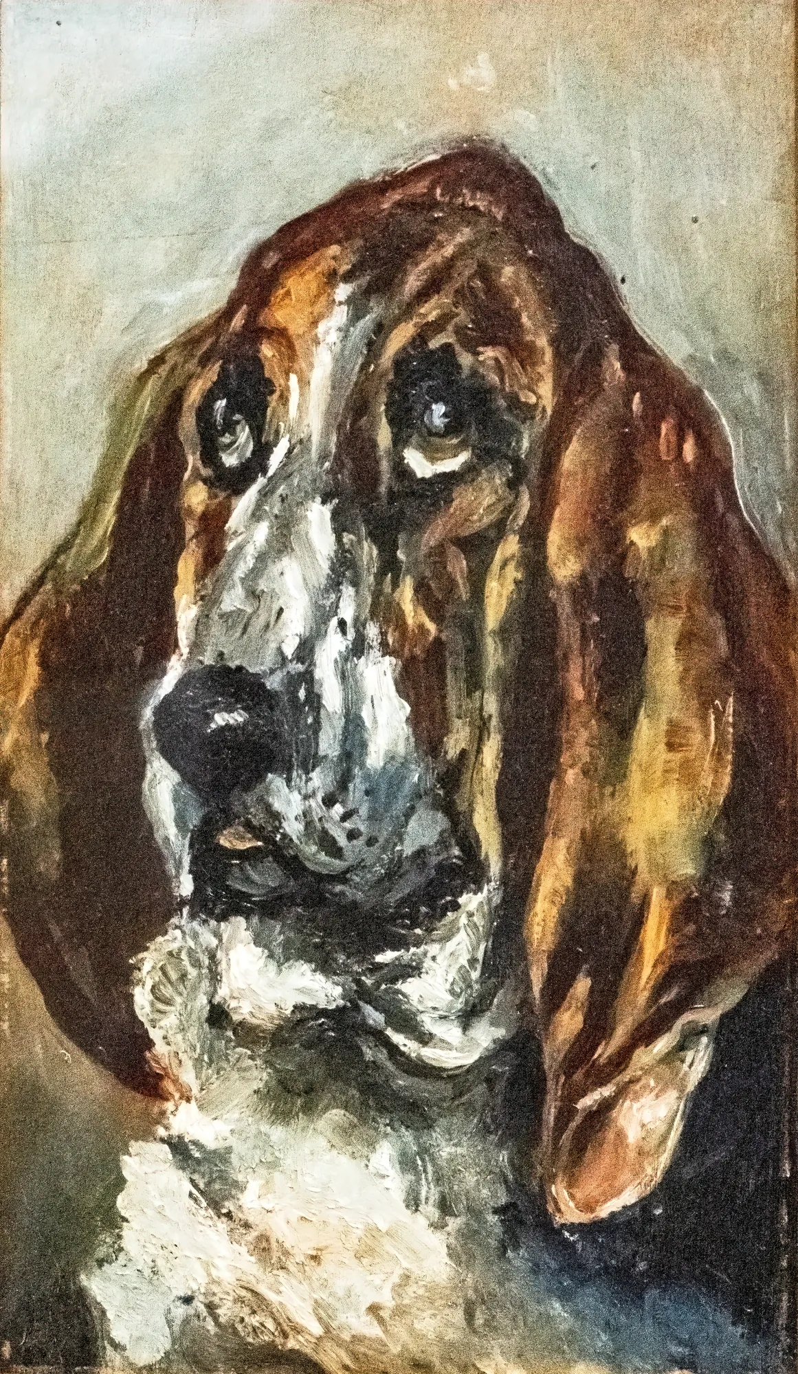 Head of a Scent Hound