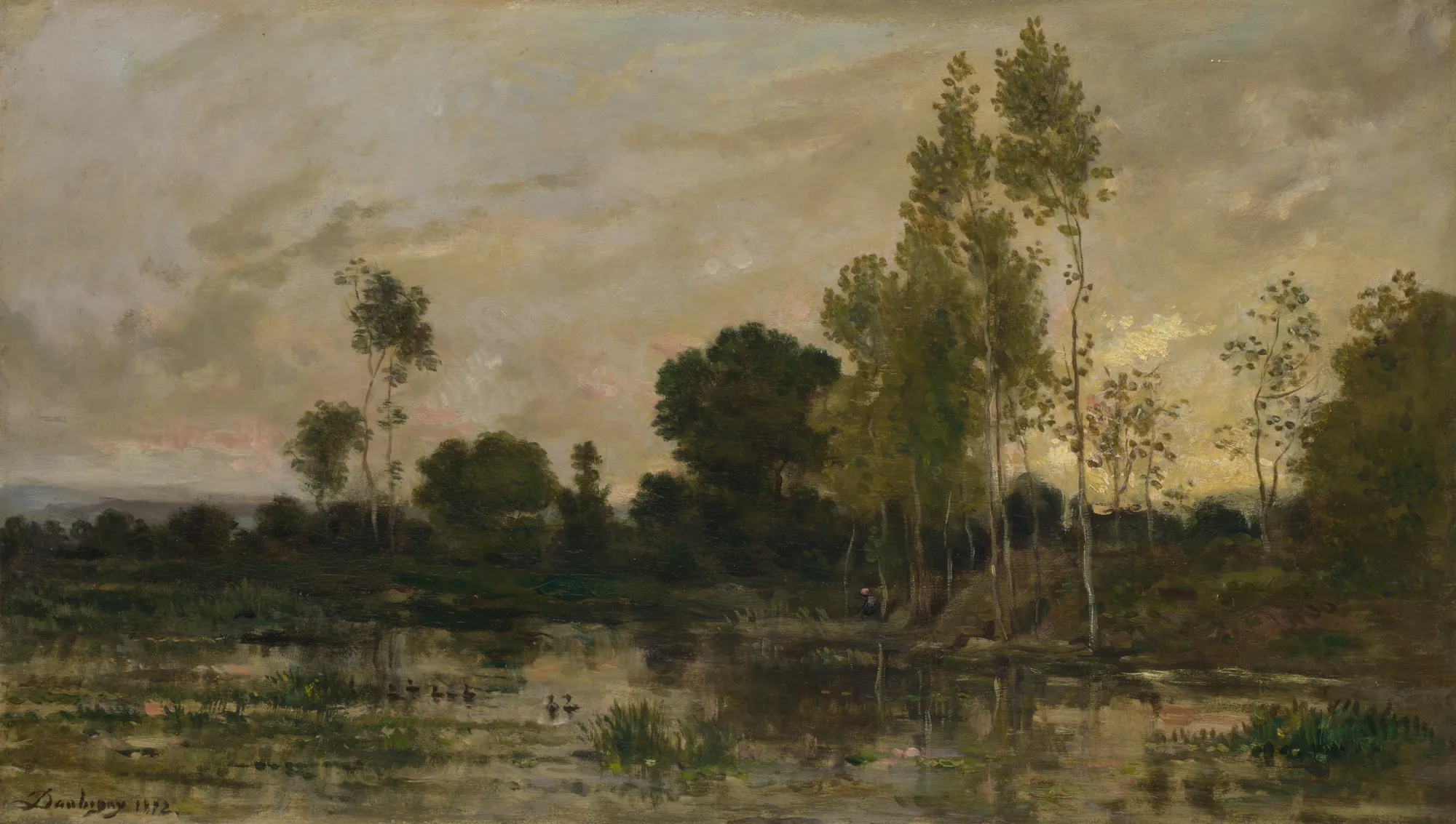 Alders