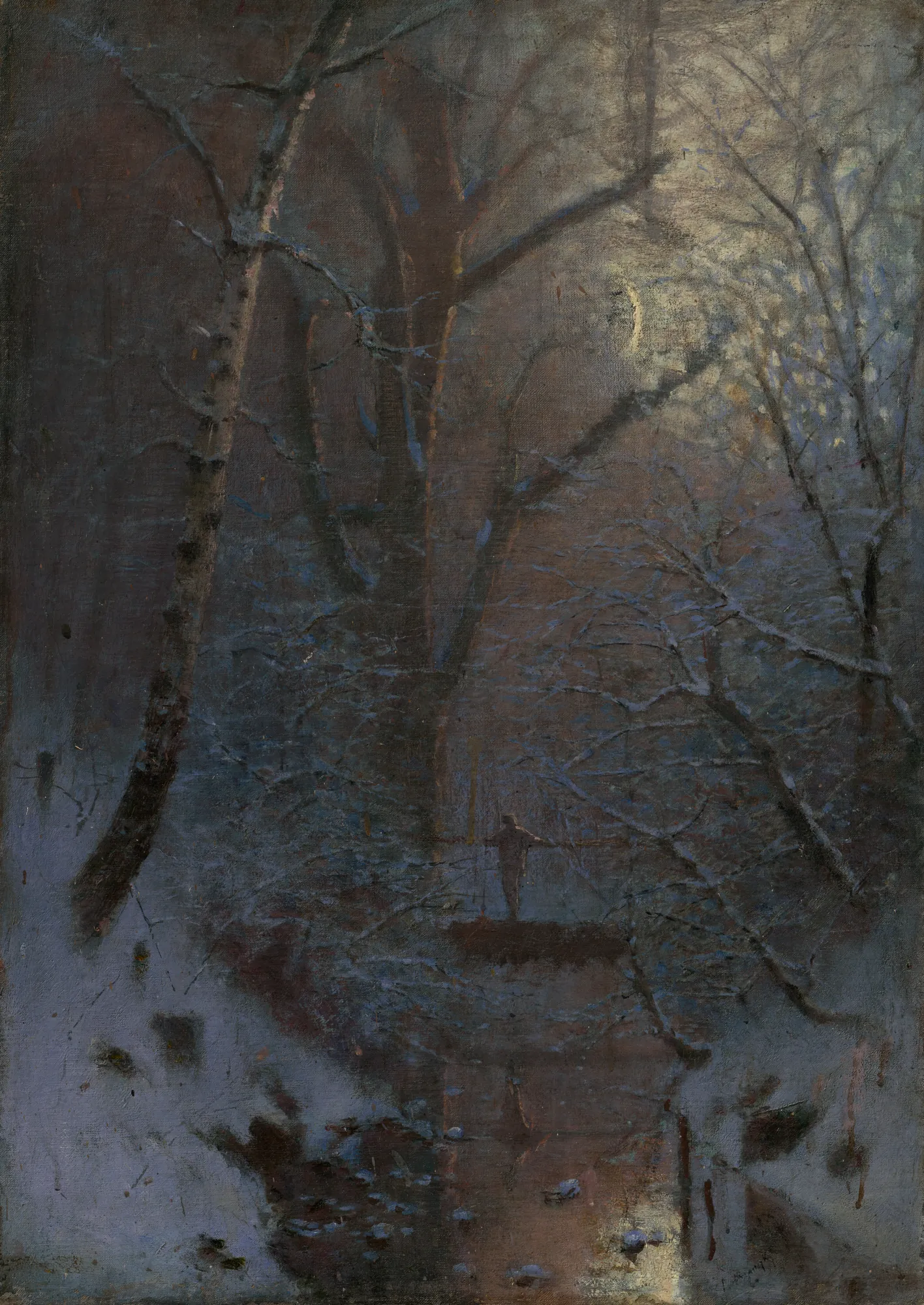 Winter Night