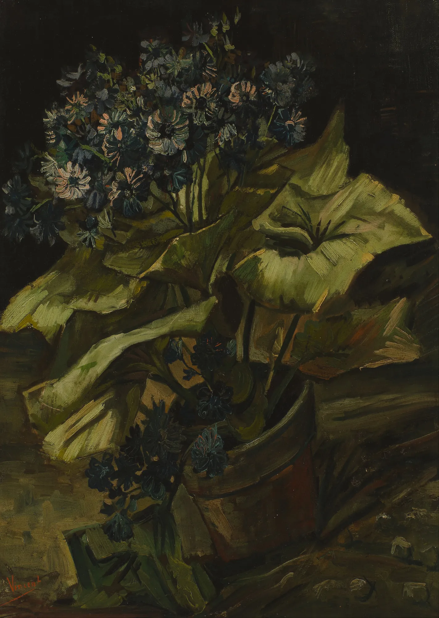 Cineraria Cineraria by Vincent van Gogh. A potted Cineraria plant with clusters of dark blue-grey flowers and broad, thick green leaves against a dark, atmospheric background.