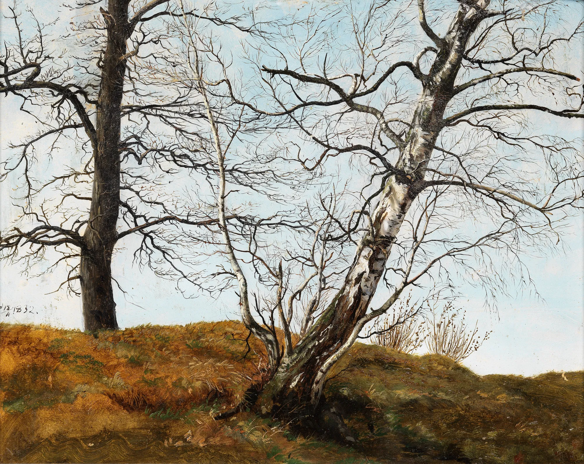 Oak and Birch in Spring