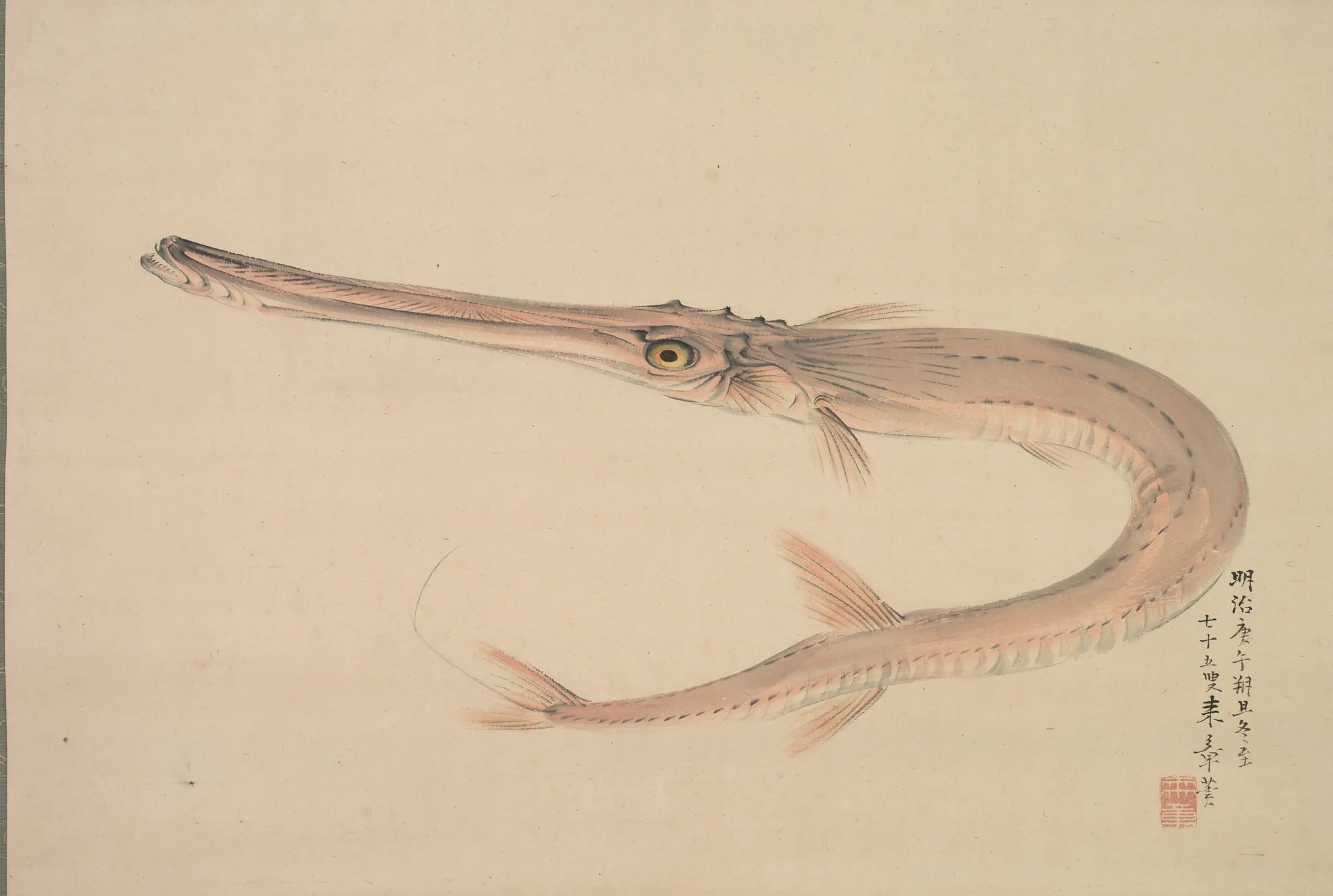 Needlefish (Yagara)