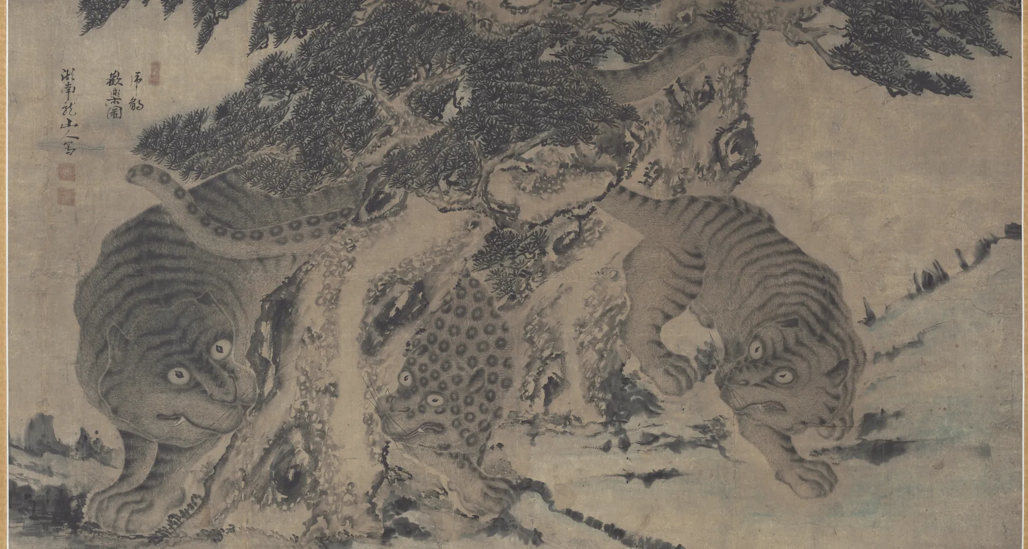 Tigers and Leopard Frolicking