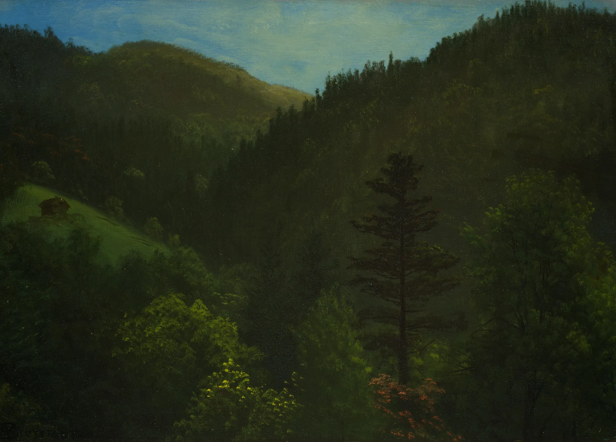 Wooded Landscape