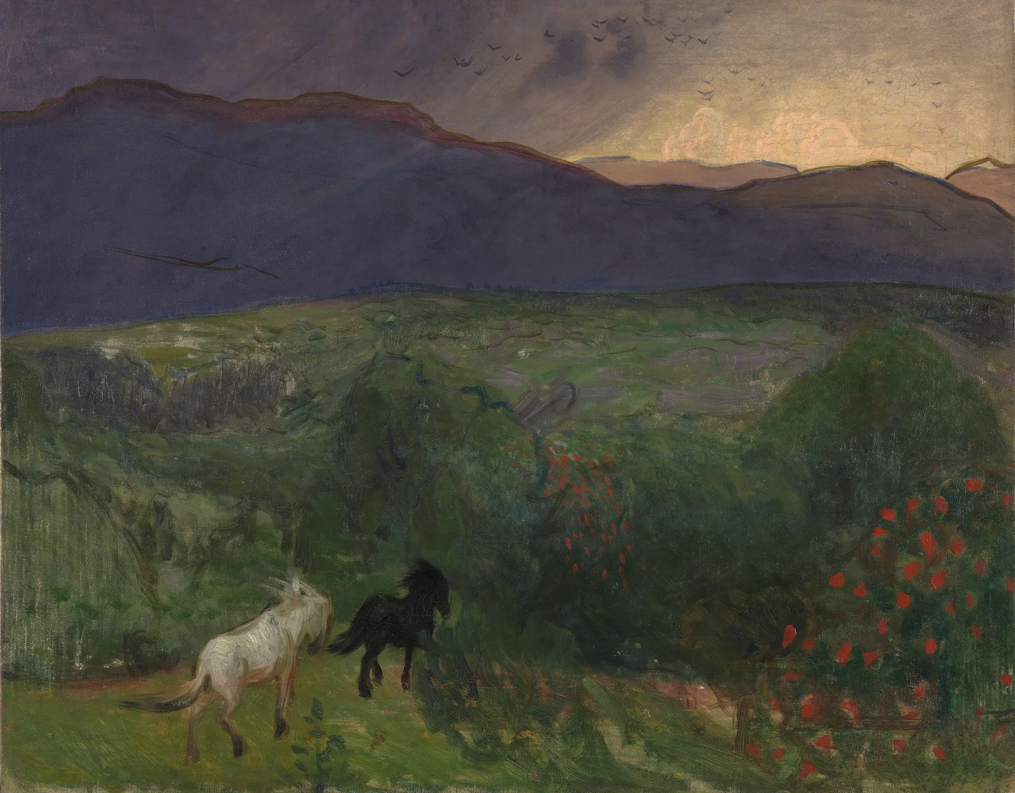 Approaching Storm