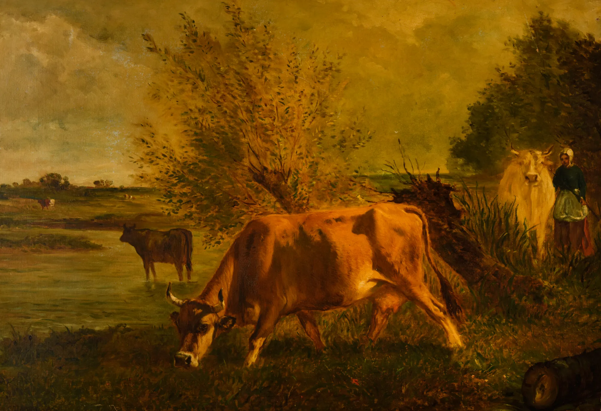 Cow Grazing by a Willow-Lined River