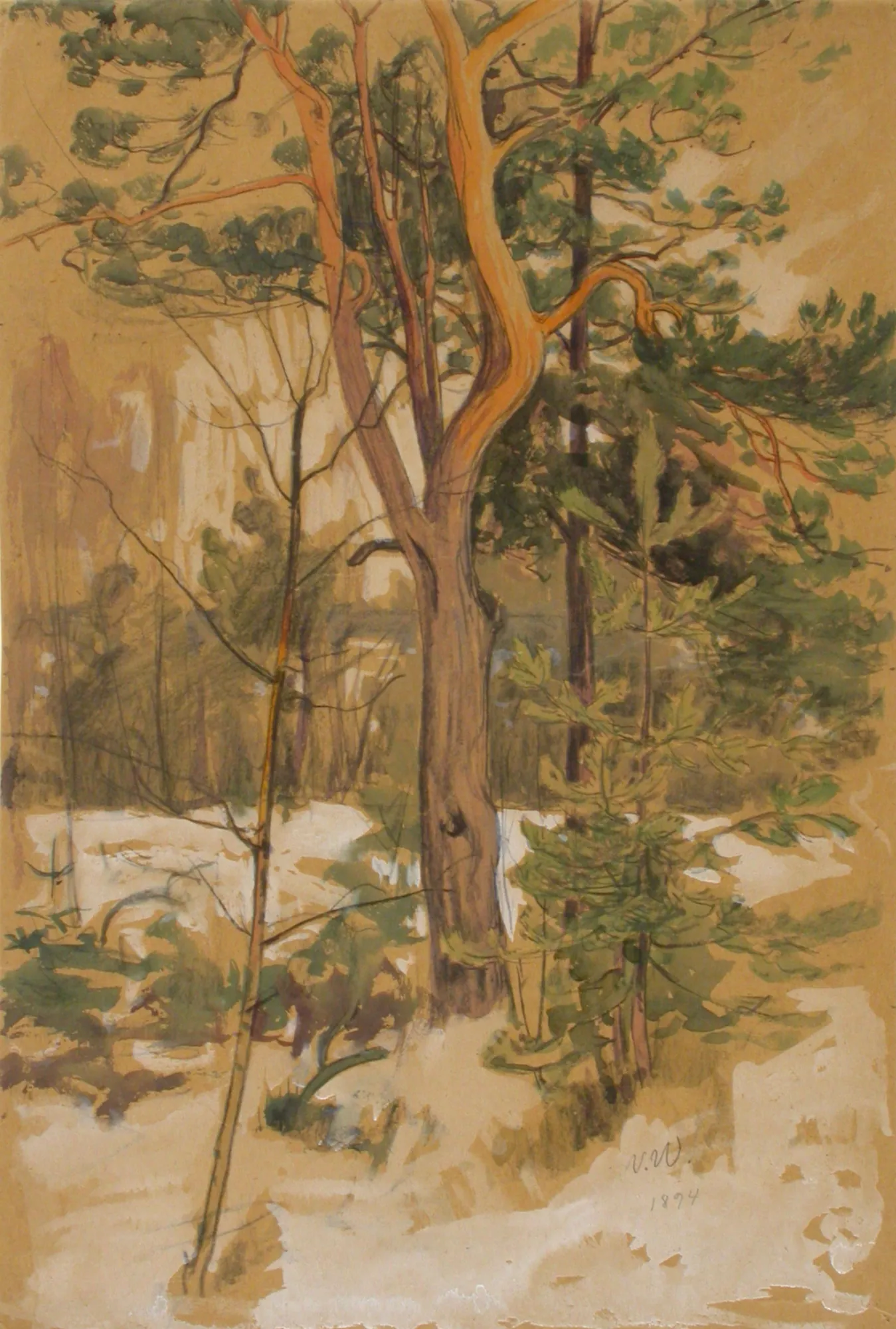 Landscape Study
