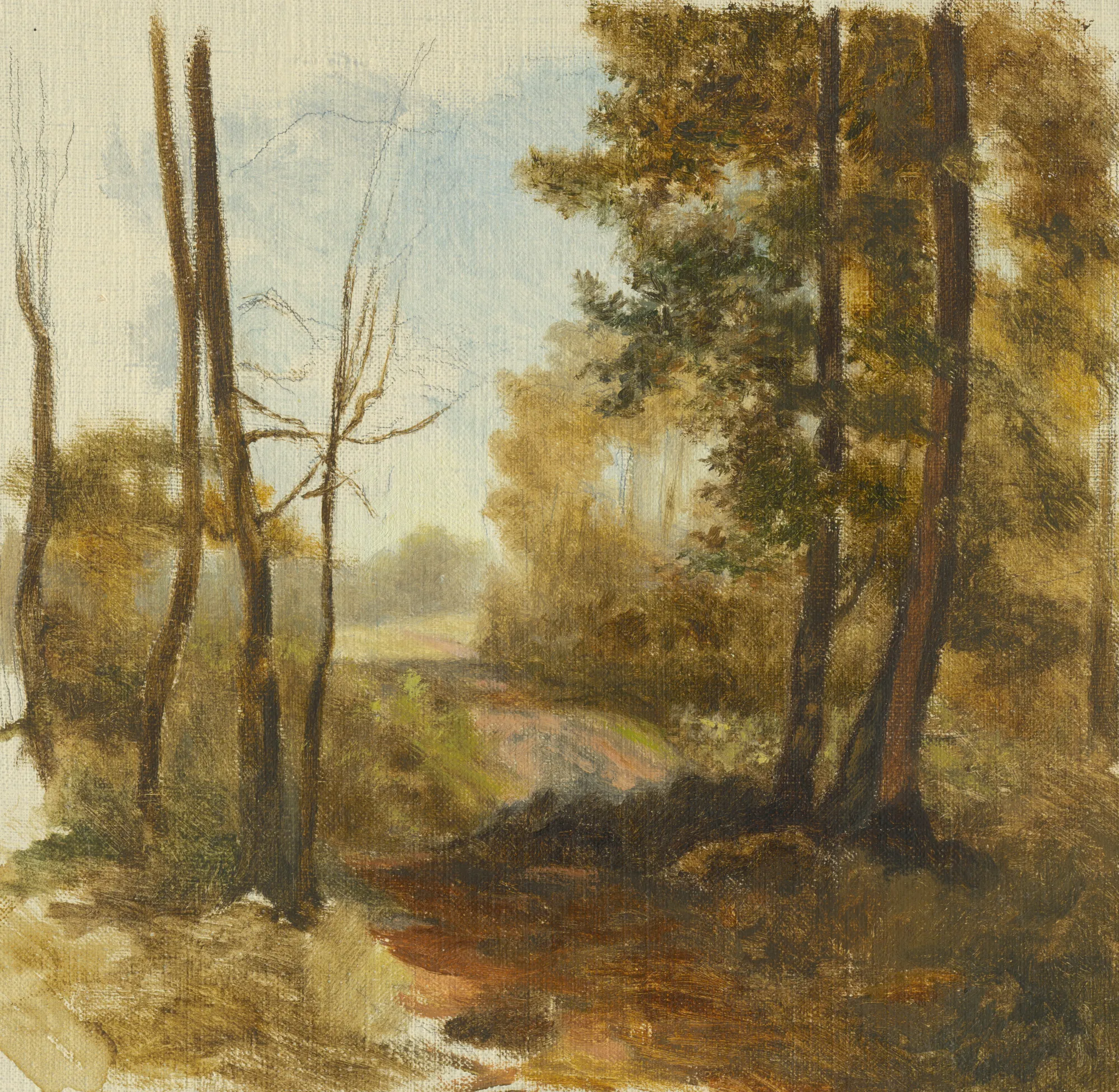 Forest Path