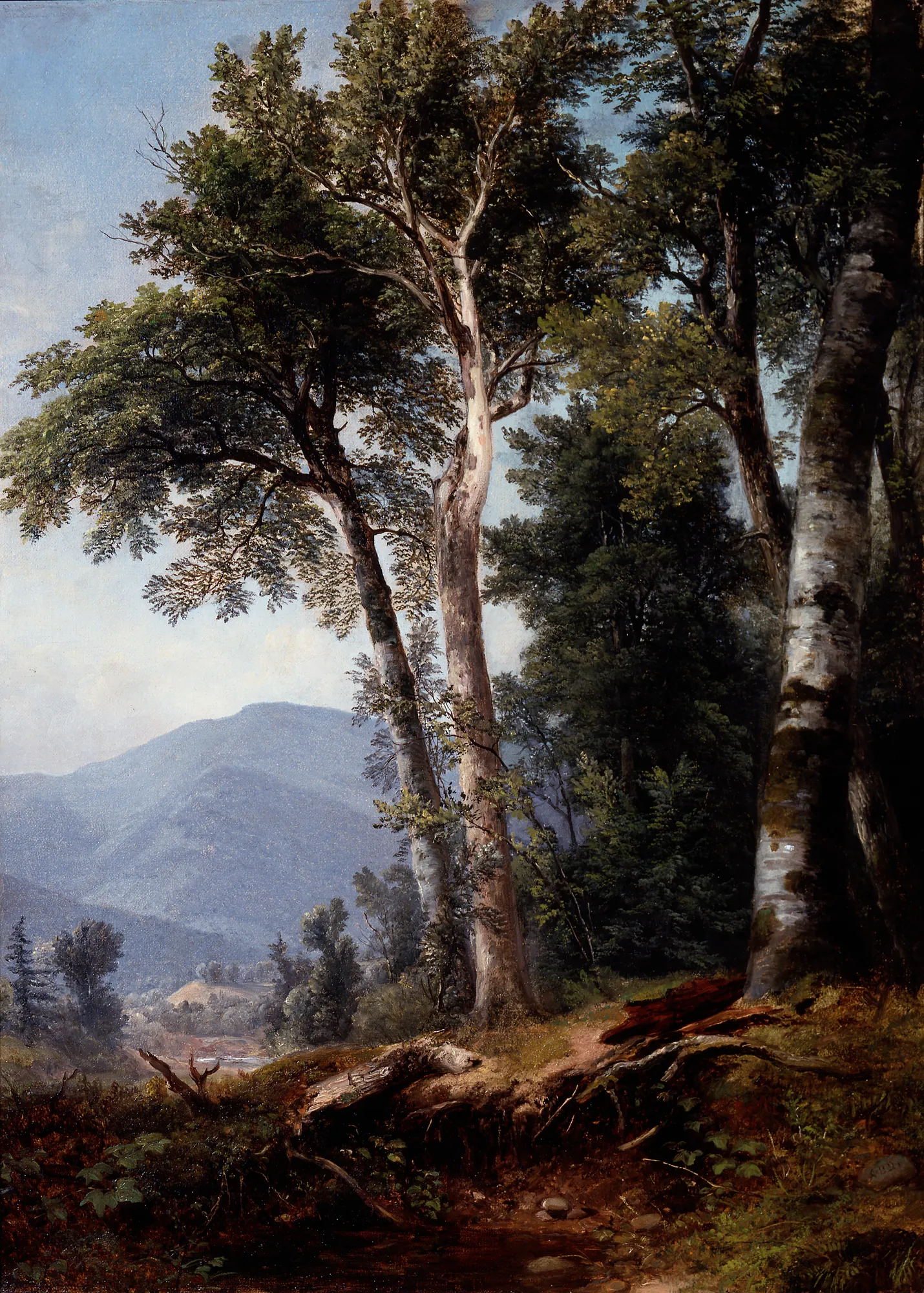 Woodland Landscape