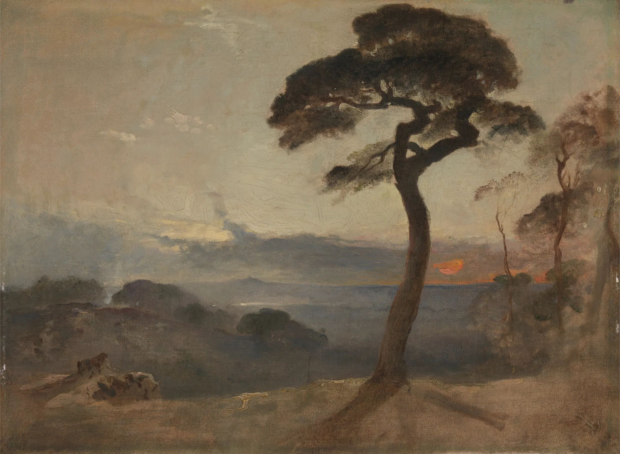 Hampstead Heath, Sunset Hampstead Heath, Sunset by Francis Danby. A lone, silhouetted tree stands on a ridge overlooking a vast, misty landscape under a hazy sunset sky.