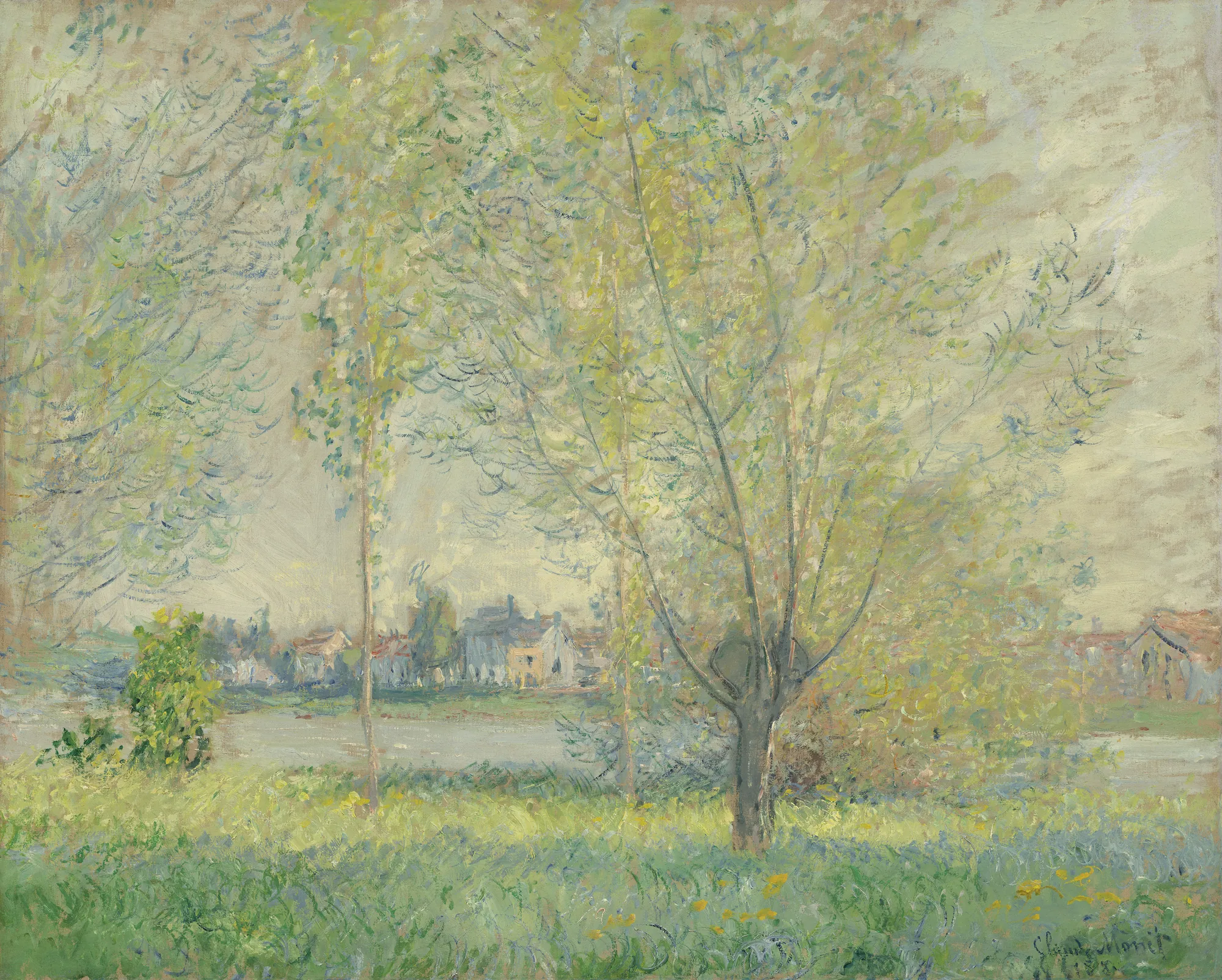 The Willows