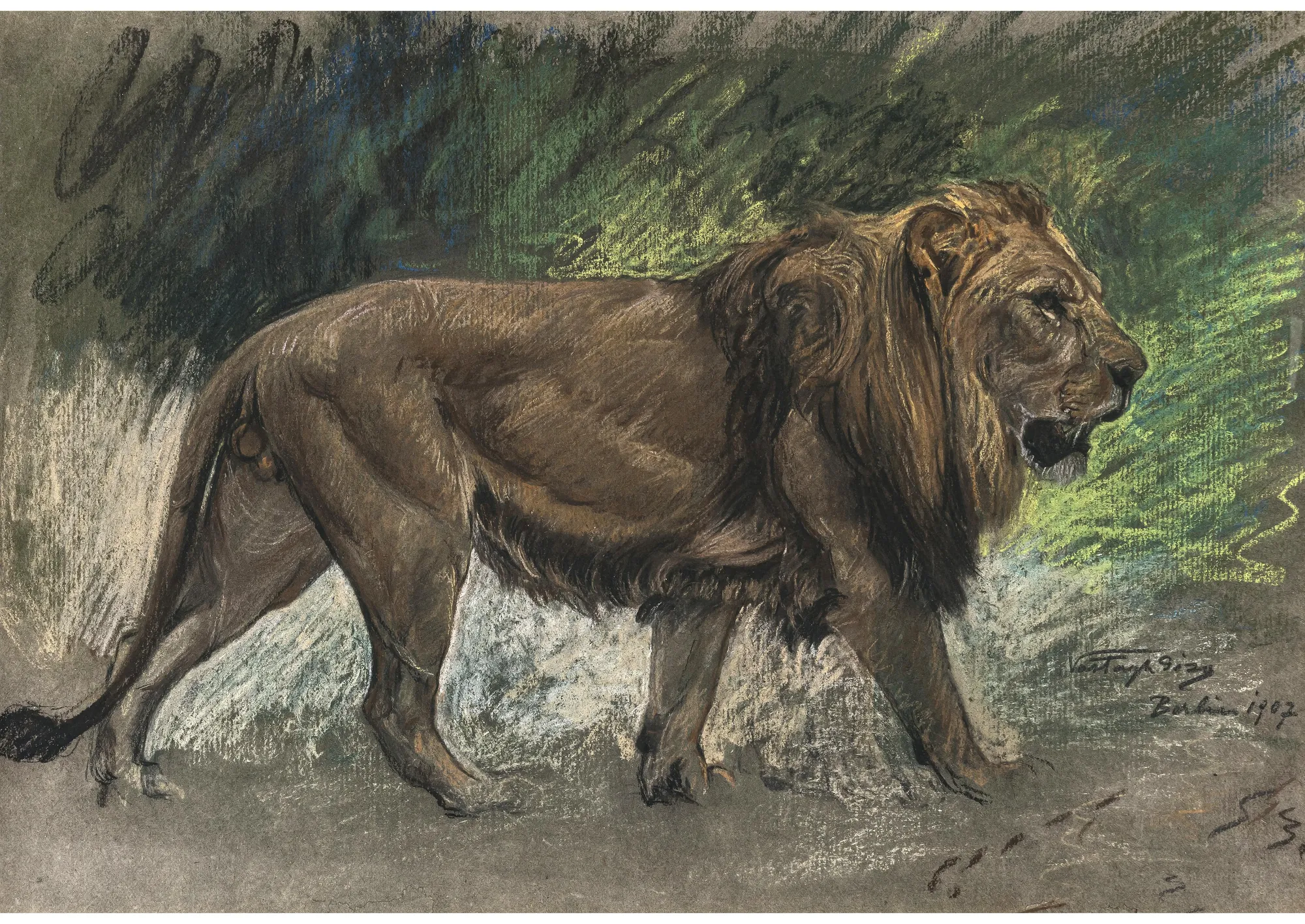 Walking Lion