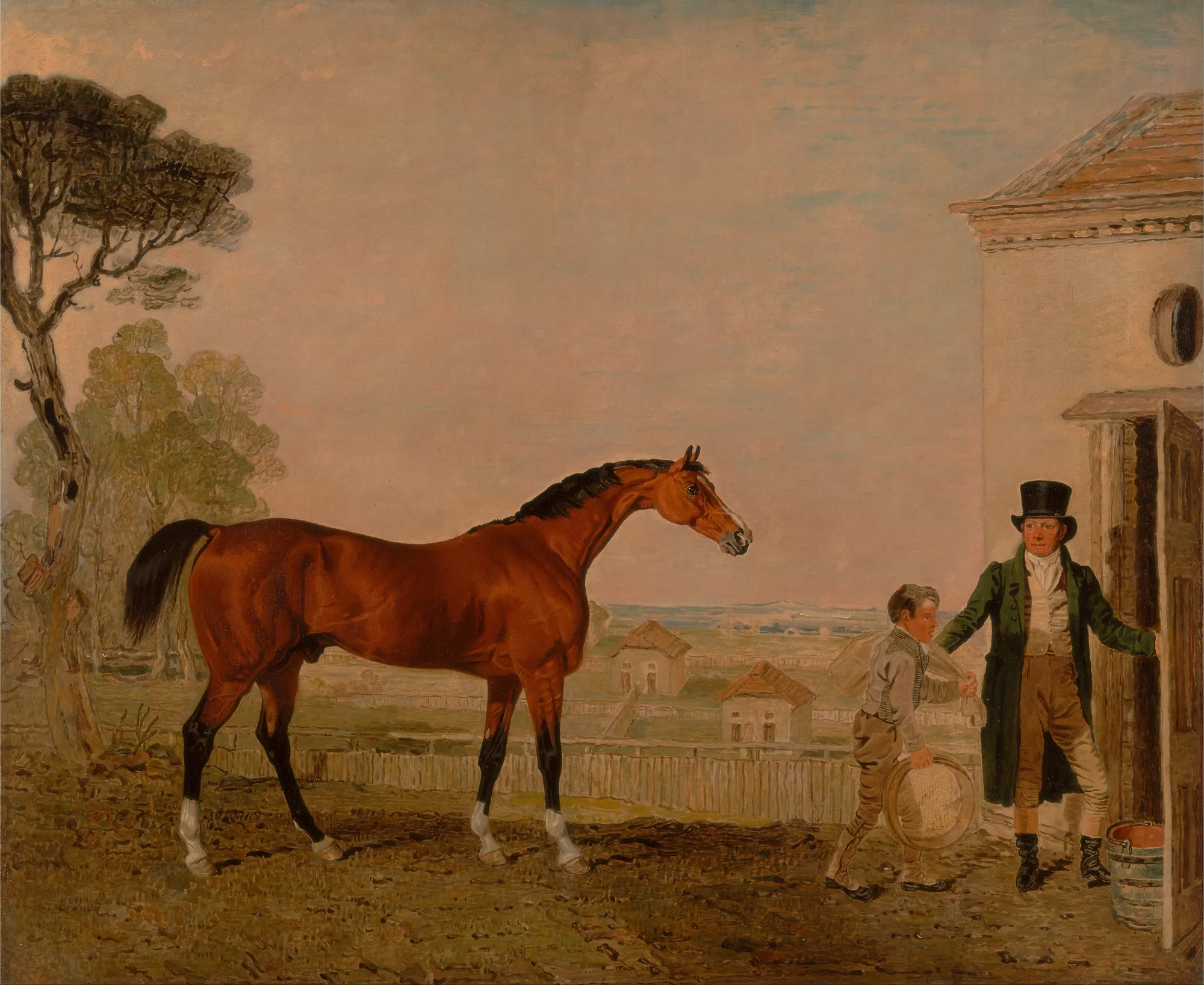 Sultan at the Marquess of Exeter's Stud, Burghley House