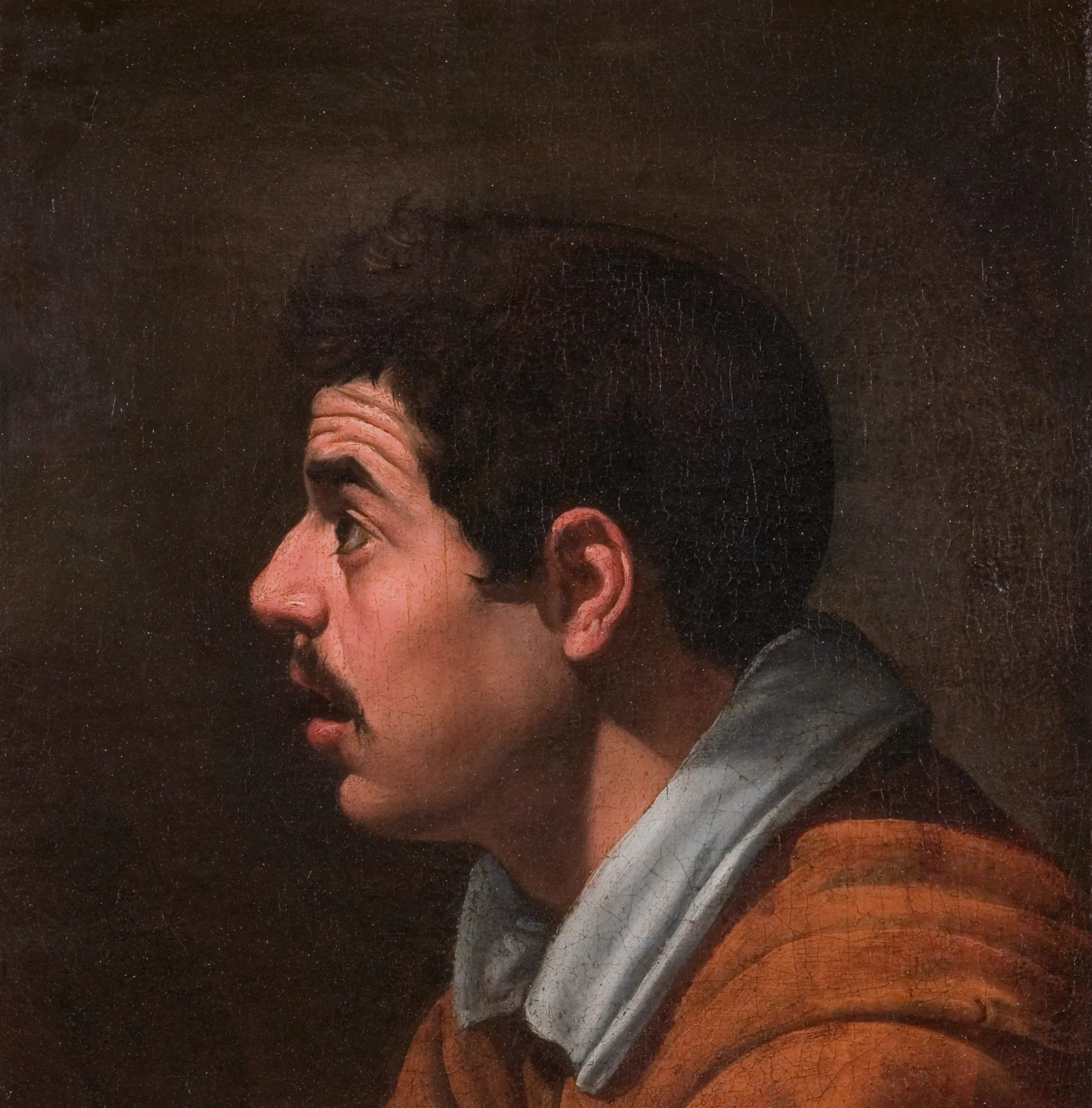 Head of a Man in Profile