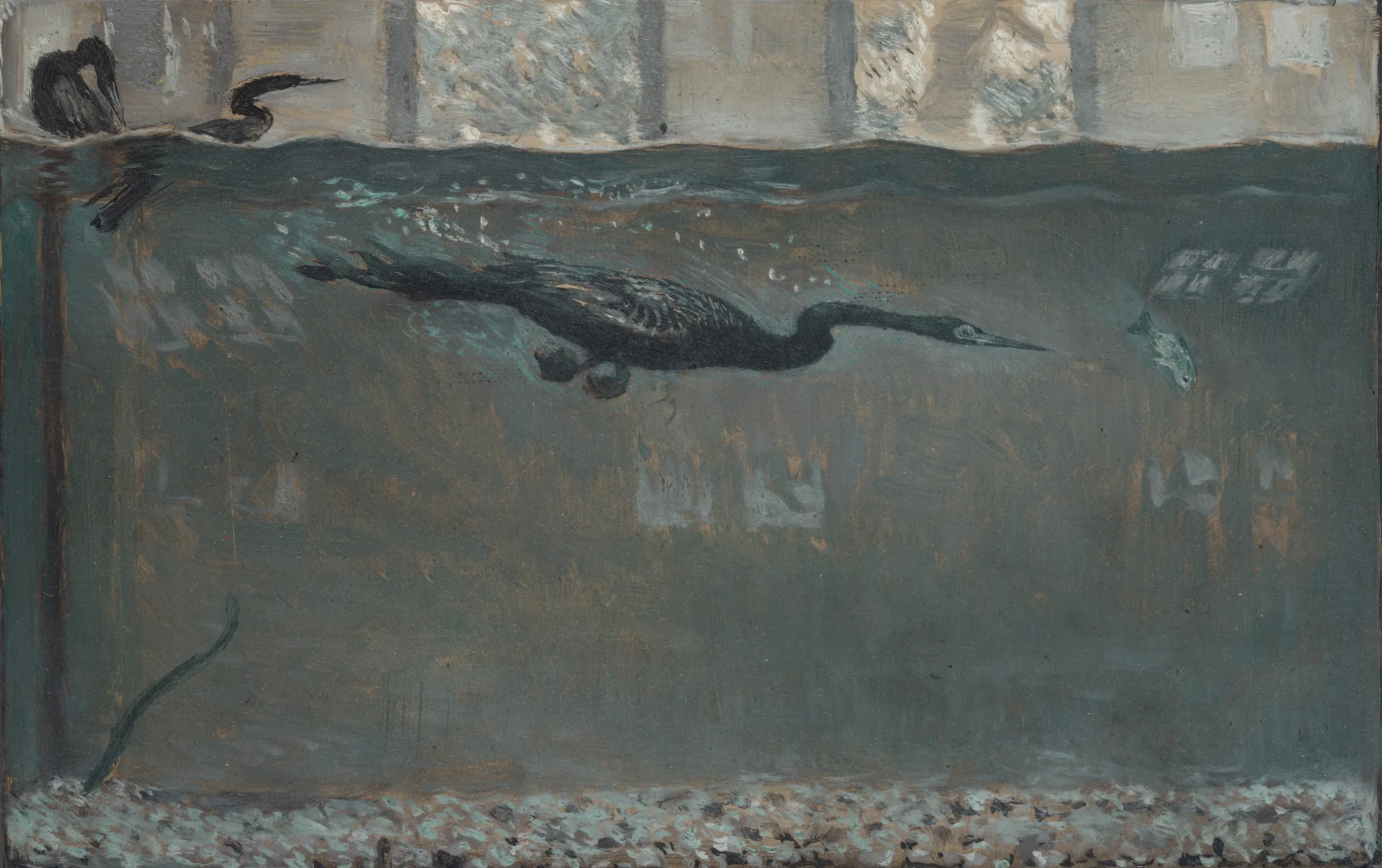 Diving Cormorant Diving Cormorant by Otto Henry Bacher. A dark cormorant swims horizontally underwater toward a small fish, while another bird is partially visible on the surface above.