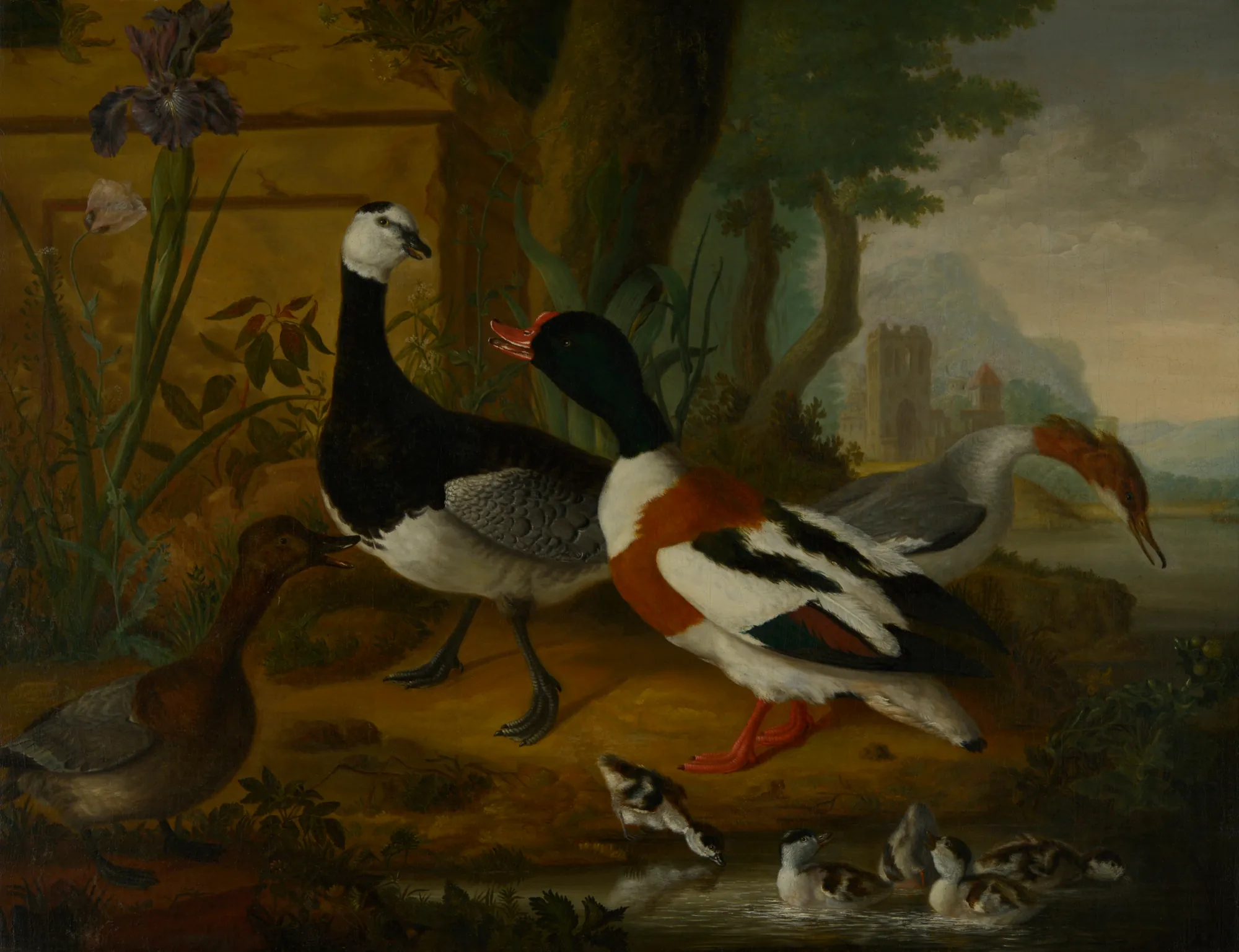 Ducks by a Pond