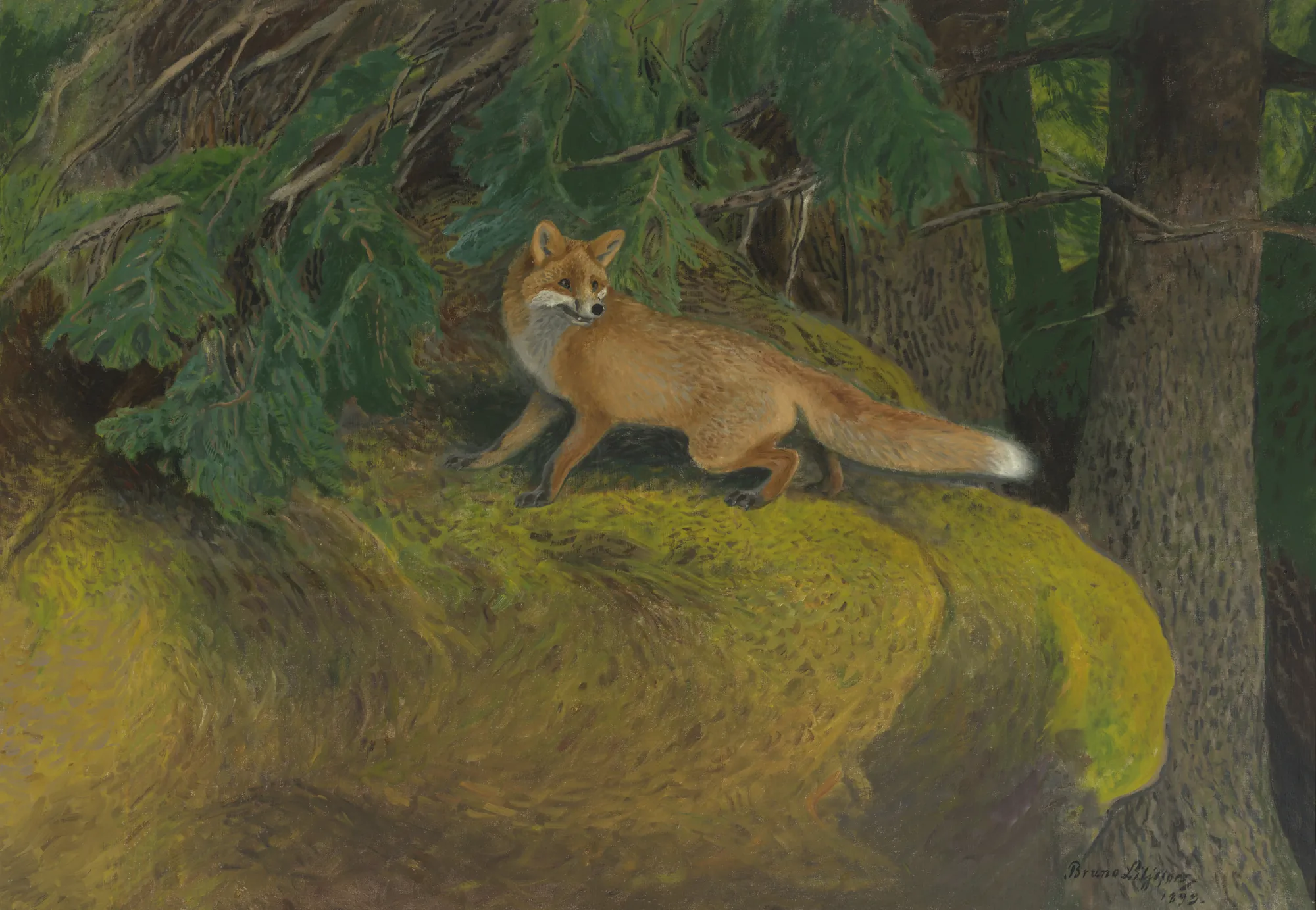 Fox Chased by Hounds