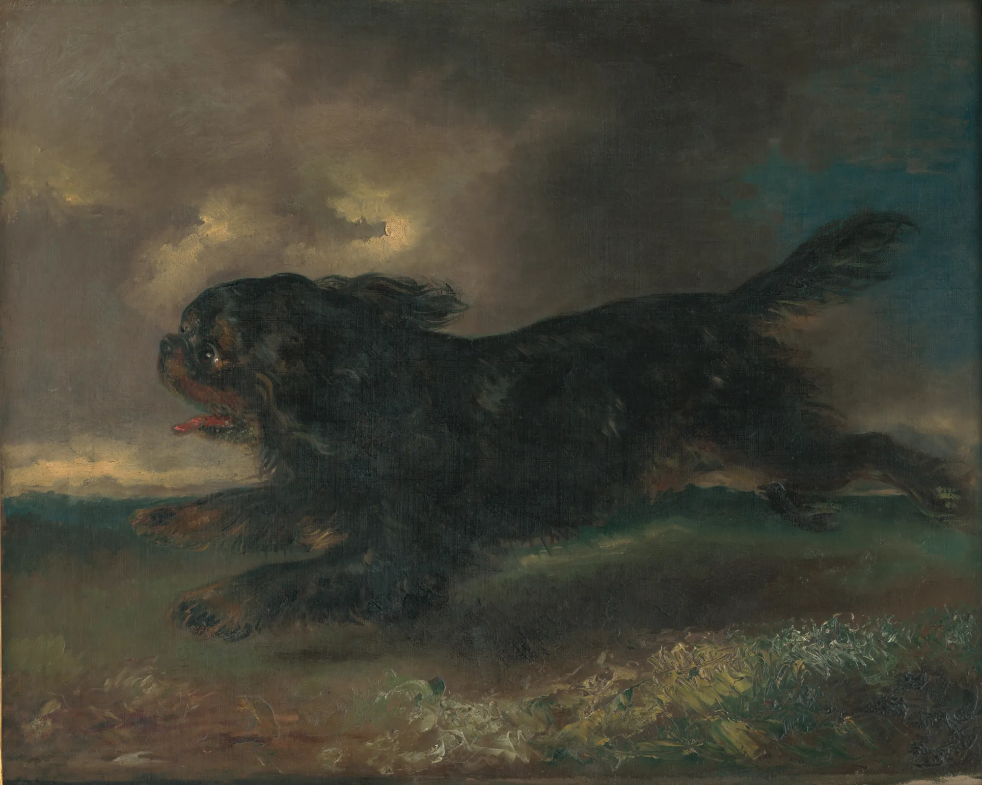 Running Dog