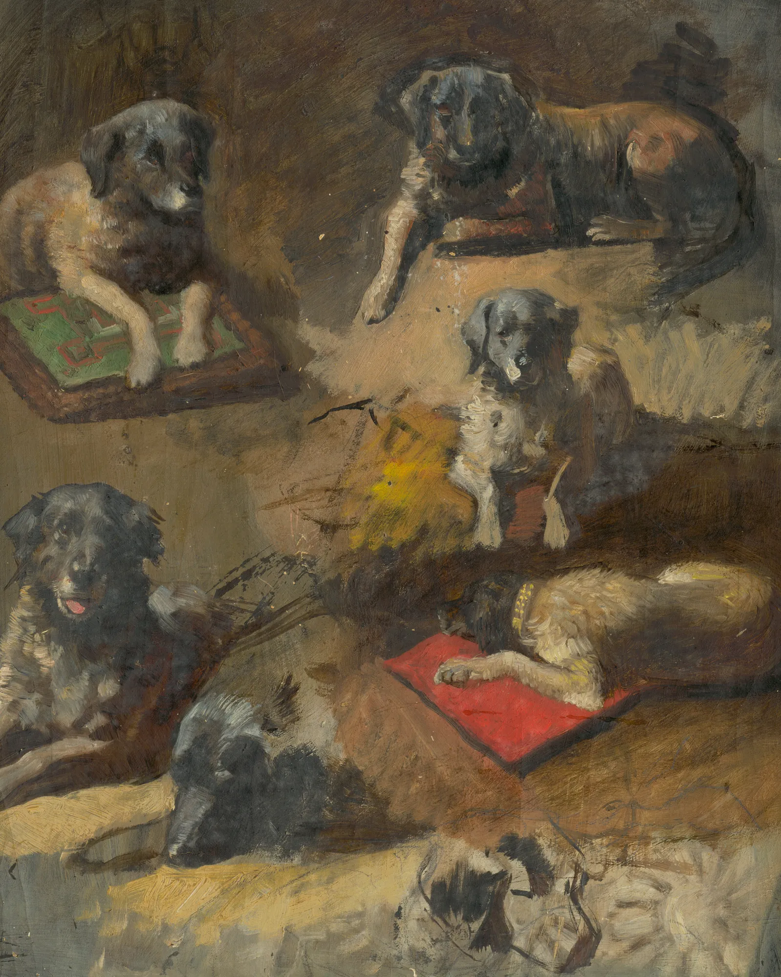 Study of a Dog