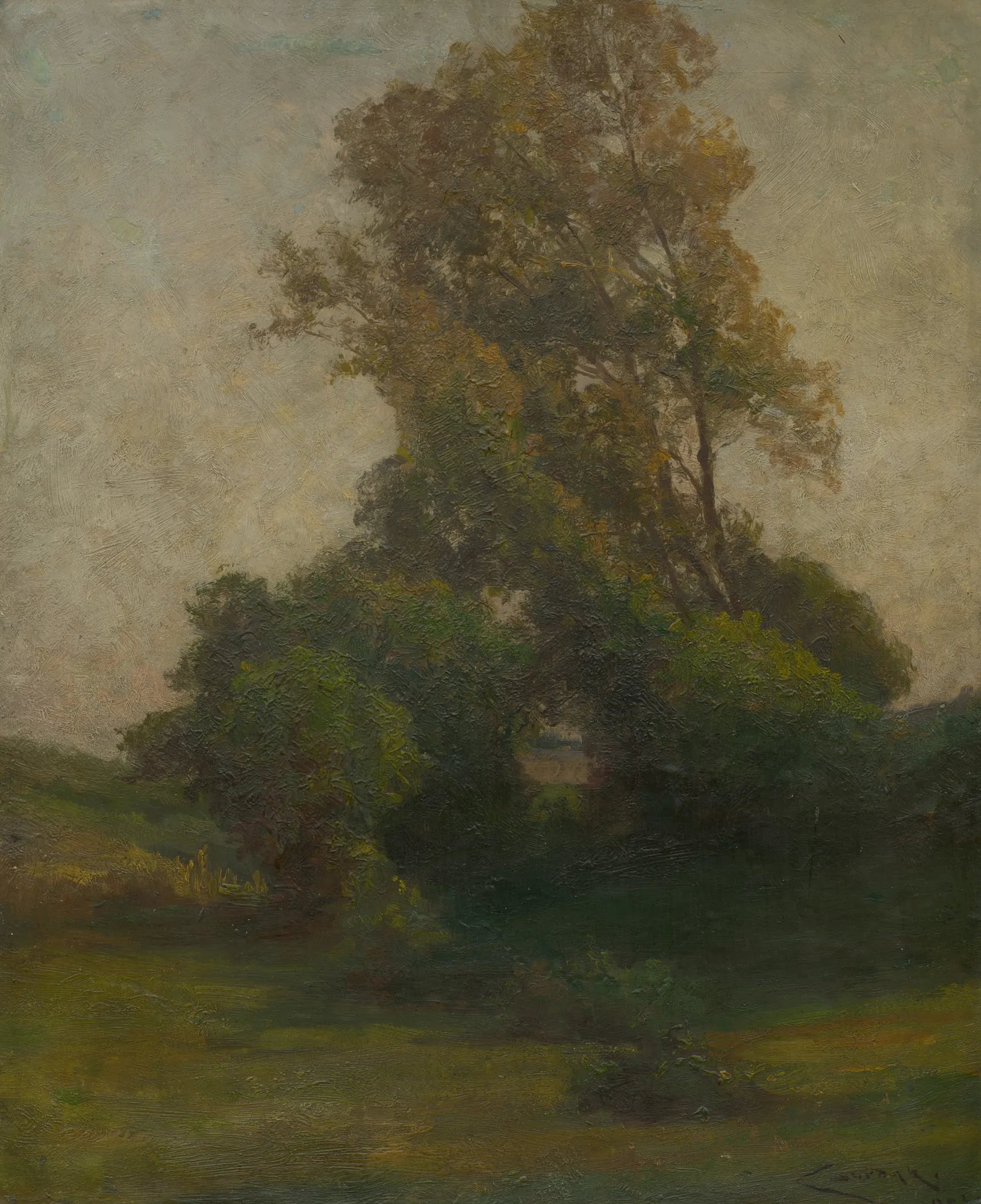 Tree in a Landscape