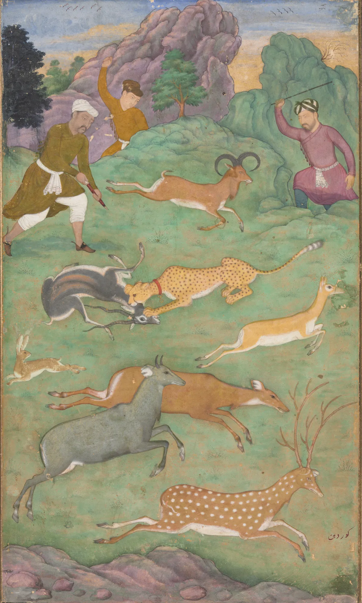 Antelope and Deer Hunt