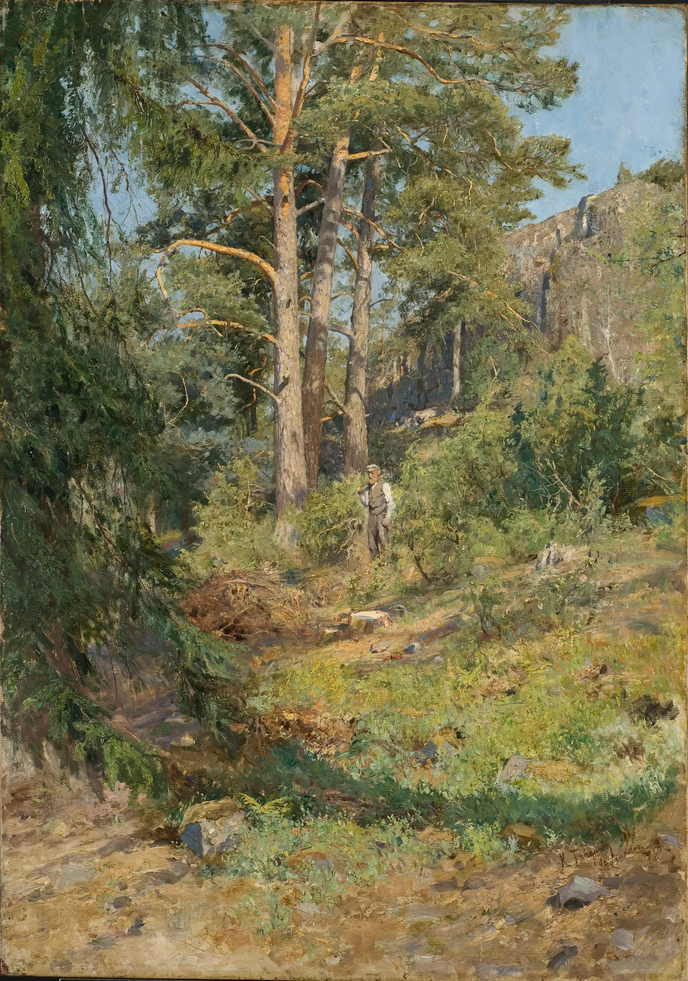 Pine Forest, Skutudden