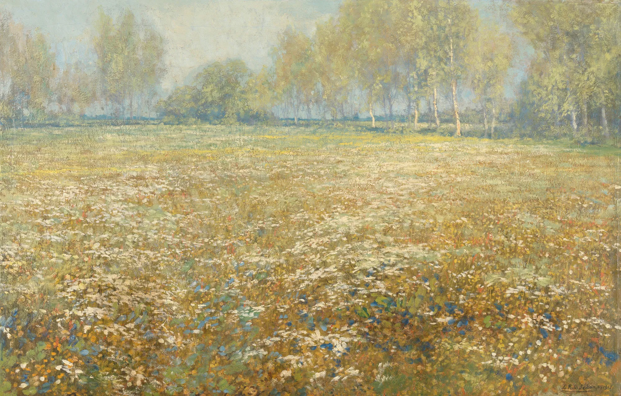Meadow in Bloom