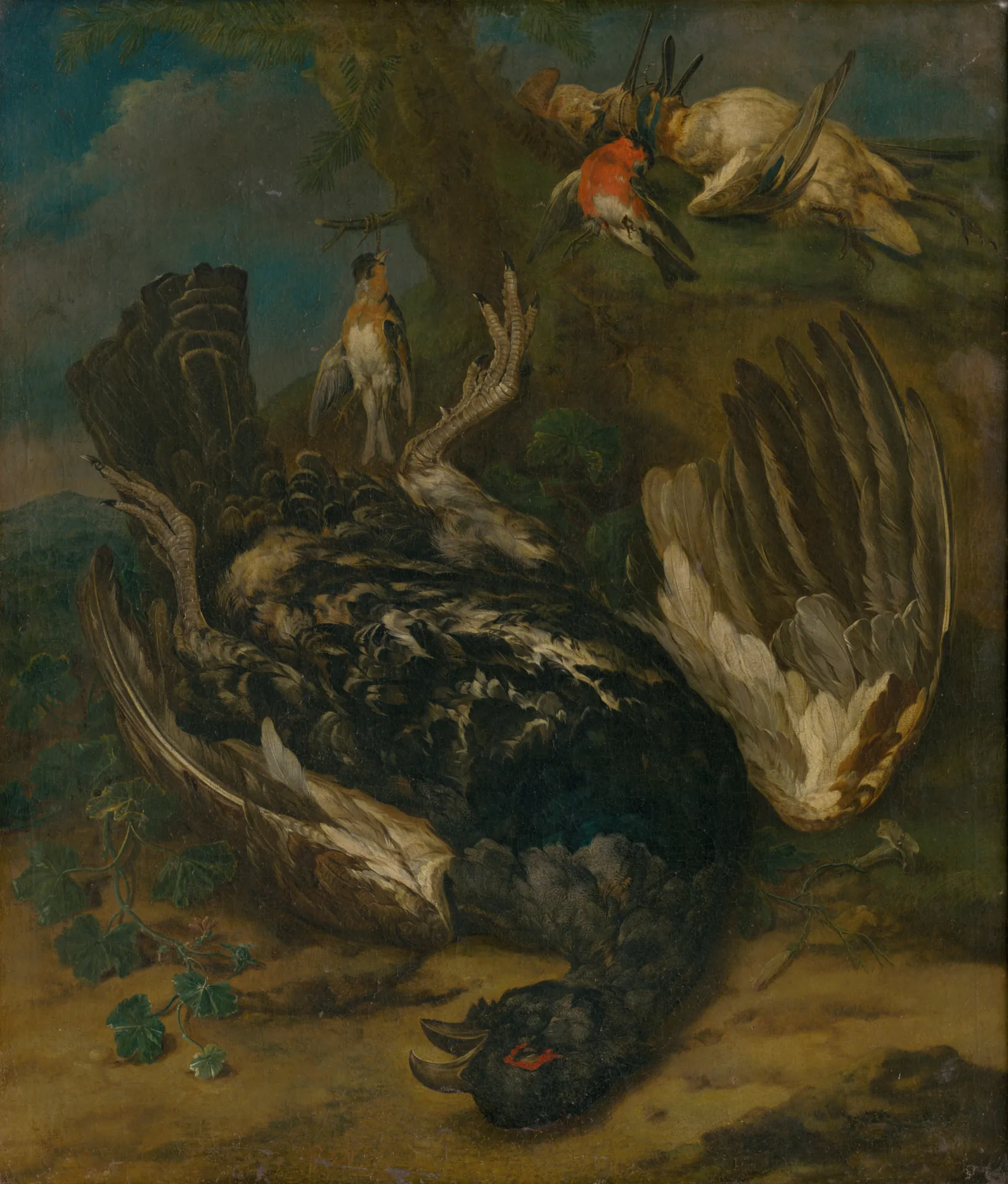 Still Life with a Capercaillie Still Life with a Capercaillie by Johann Georg de Hamilton. A large capercaillie lies dead on the ground next to a tree from which smaller birds are suspended.