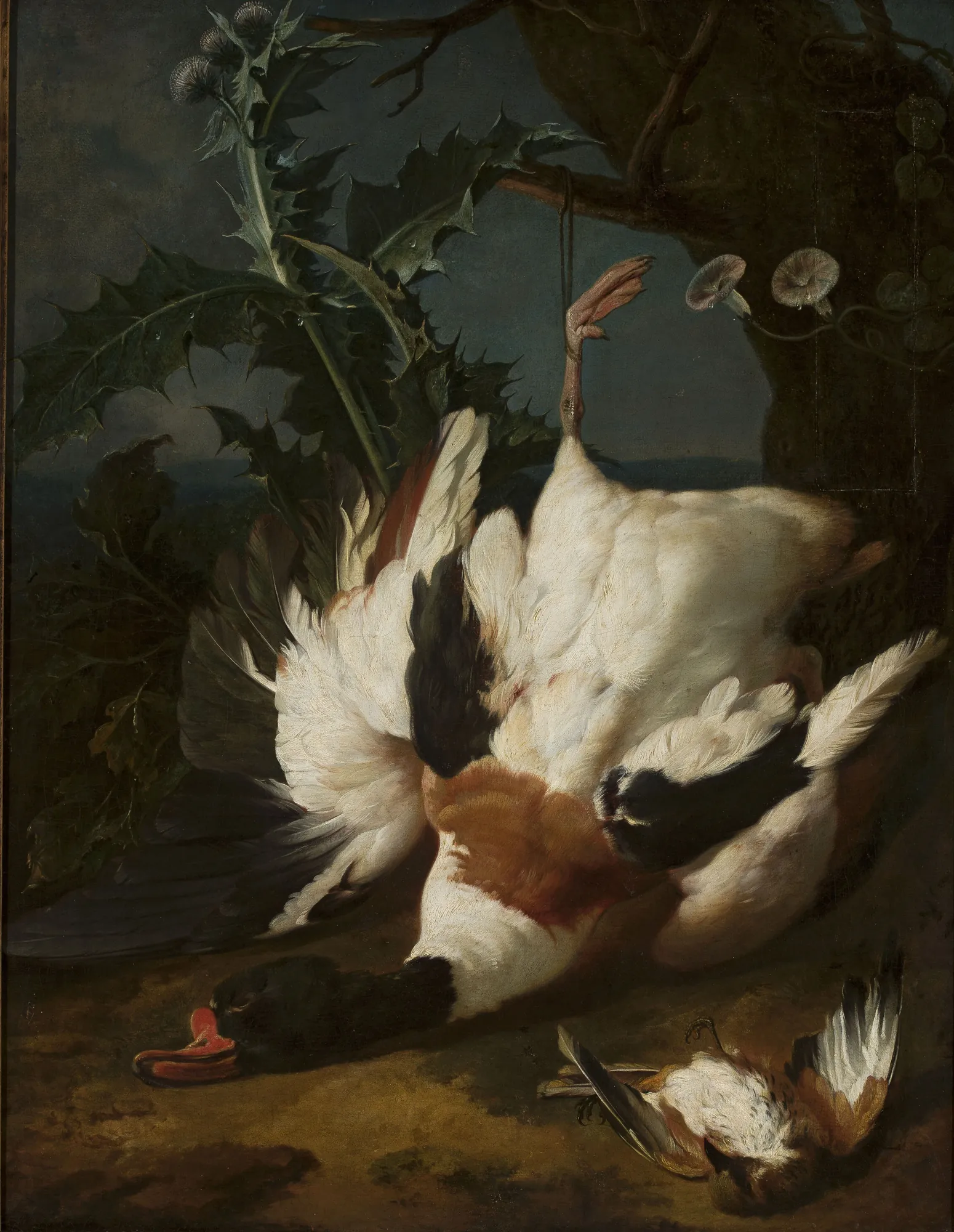 Dead Drake Dead Drake by Jan Weenix. A dramatic Dutch Golden Age still life featuring a large white and brown drake suspended by one leg against a dark landscape with thistles.