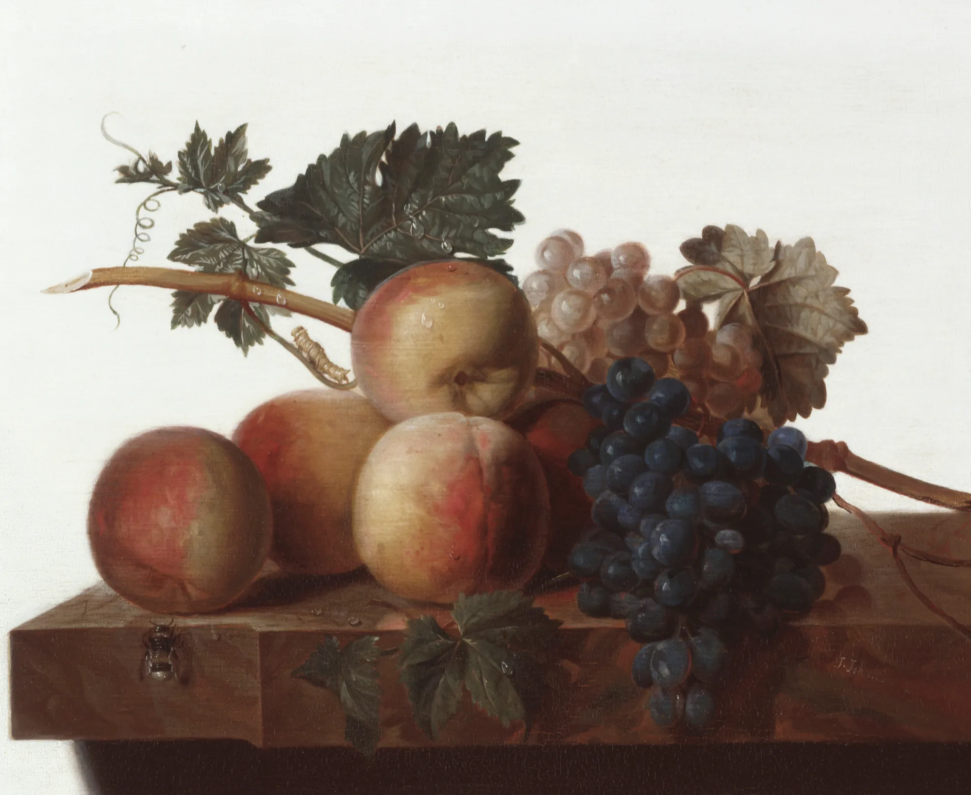 Still Life