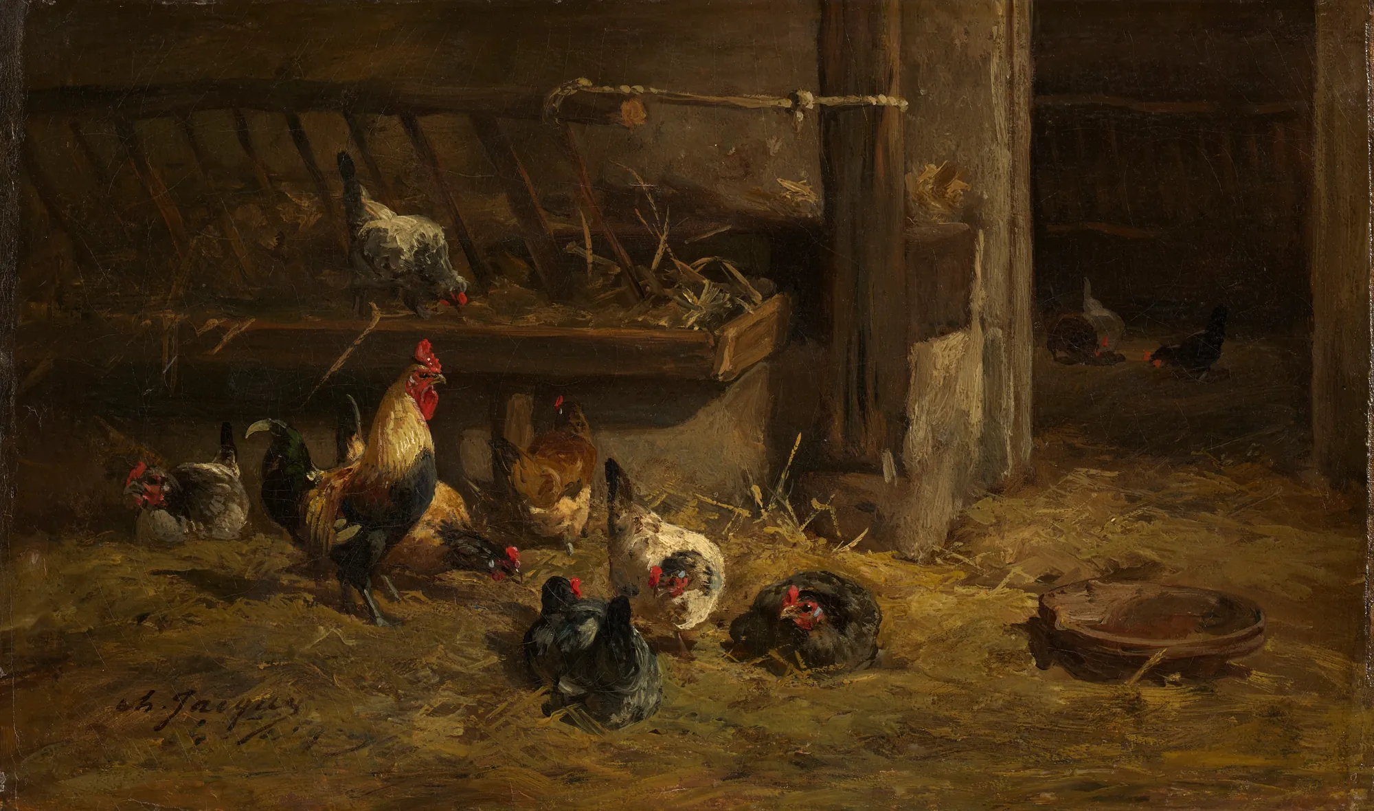 Poultry