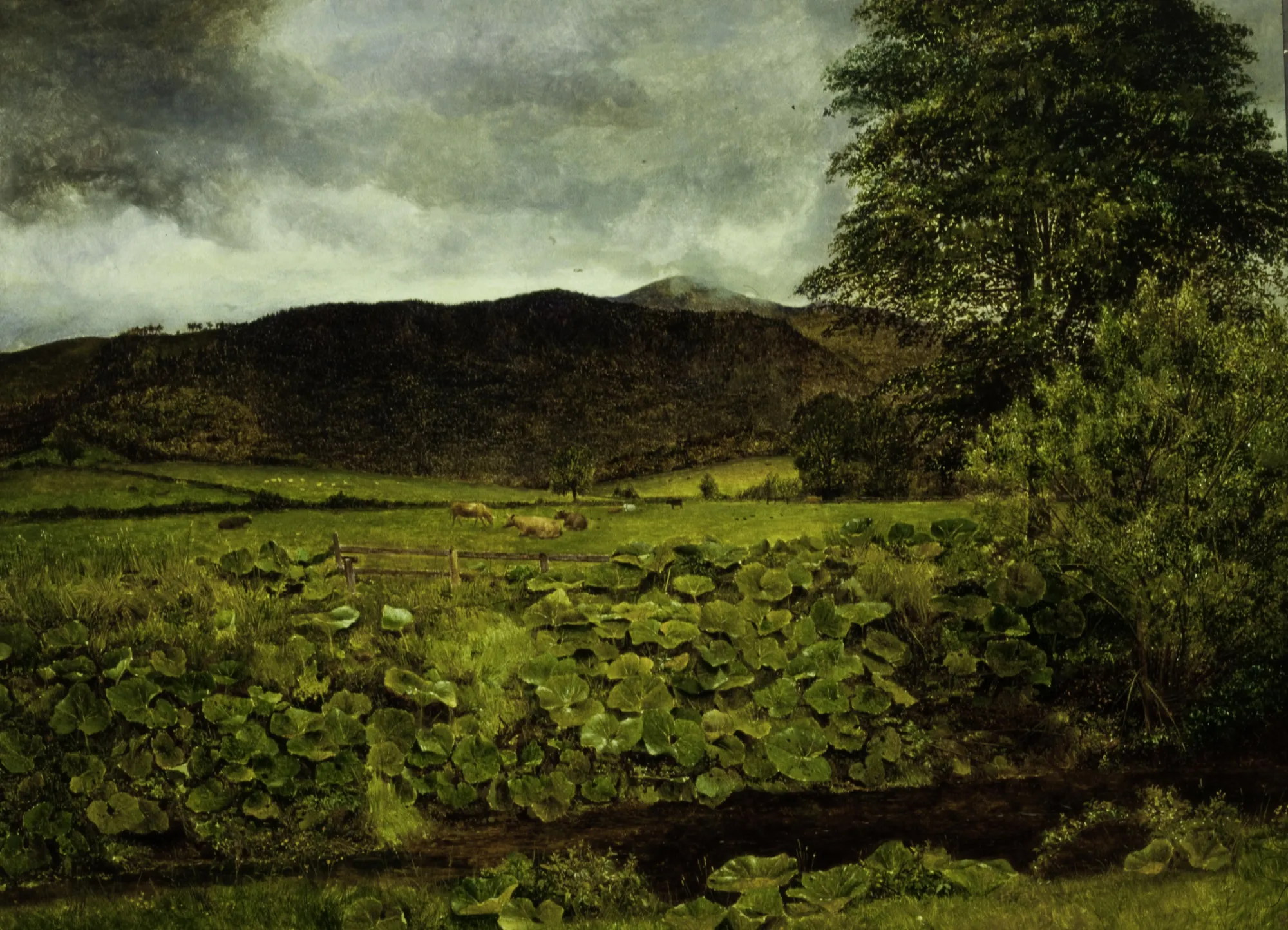 Wallow Crag, Cumberland