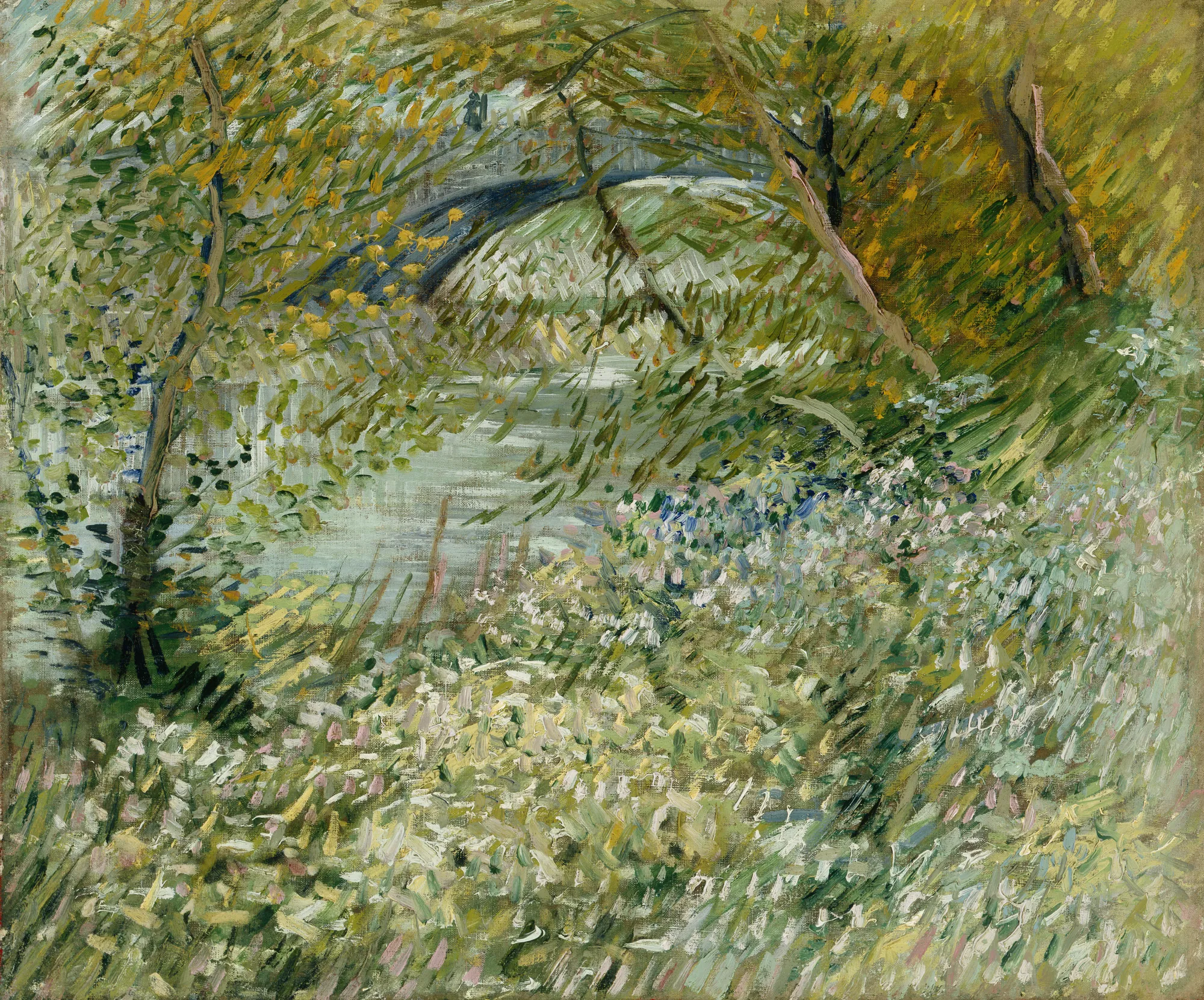River Bank in Springtime