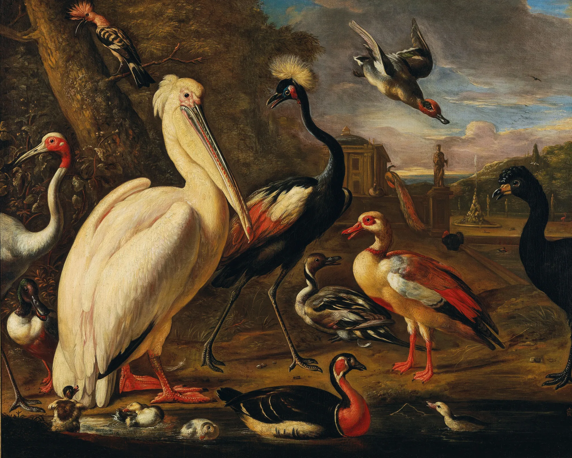 A Pelican and Other Birds by the Water
