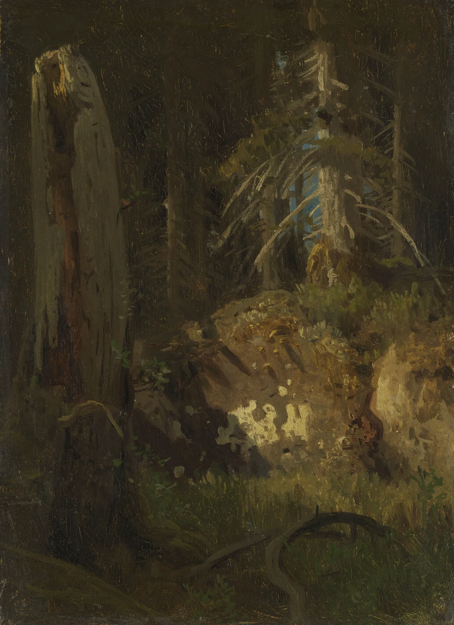 Landscape Study with Decaying Trees