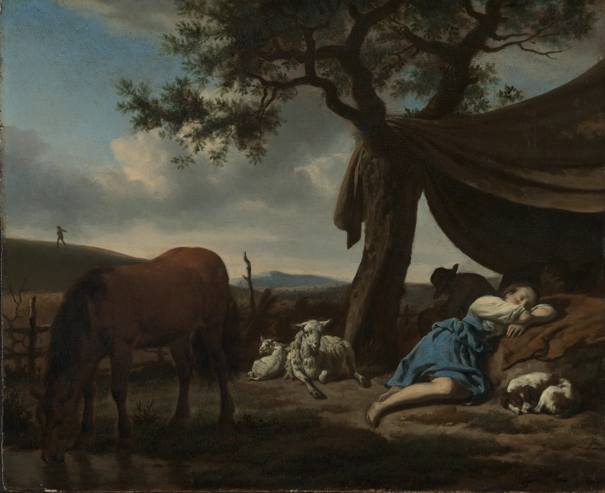 Sleeping Shepherds