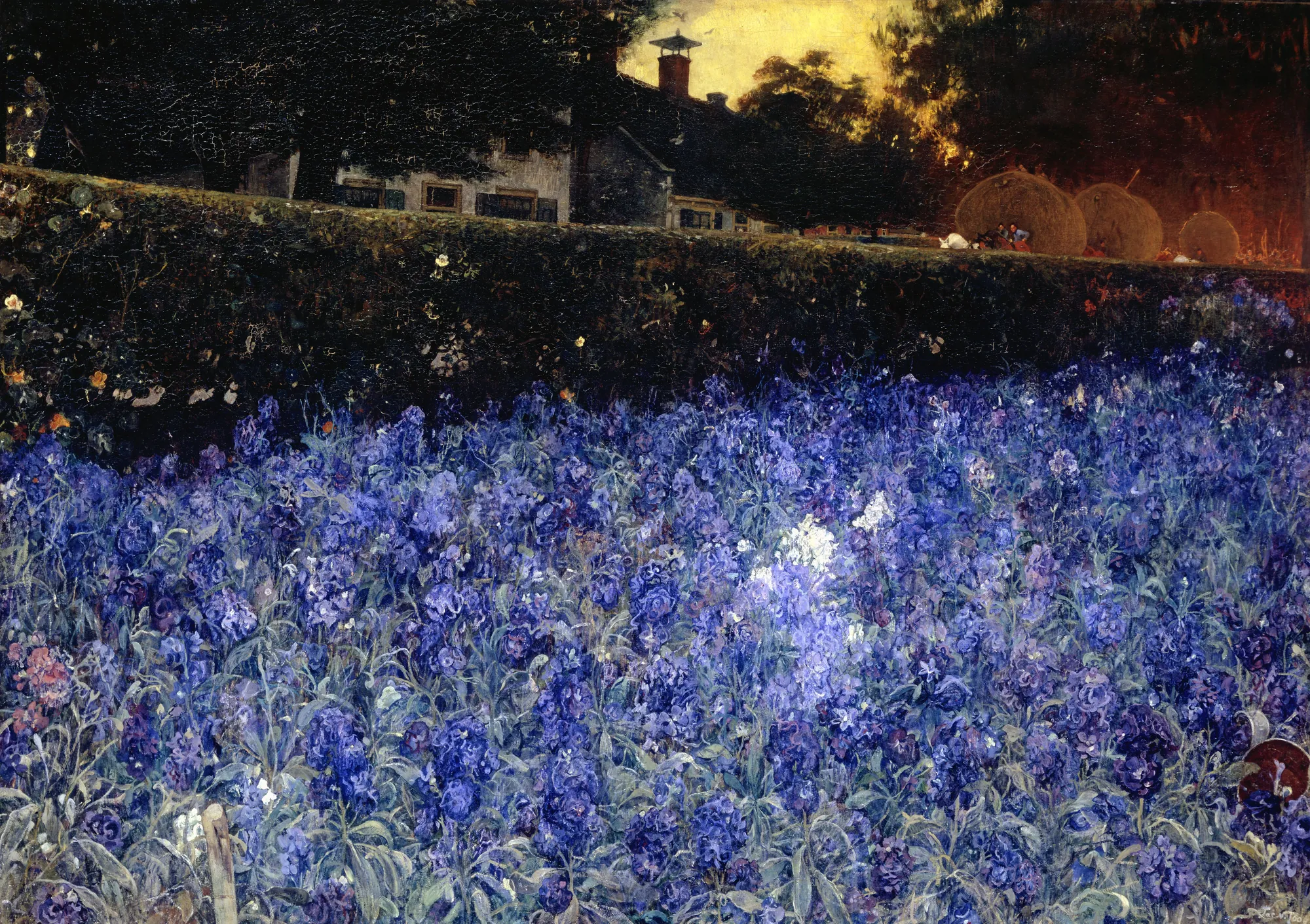 Summer Luxuriance
