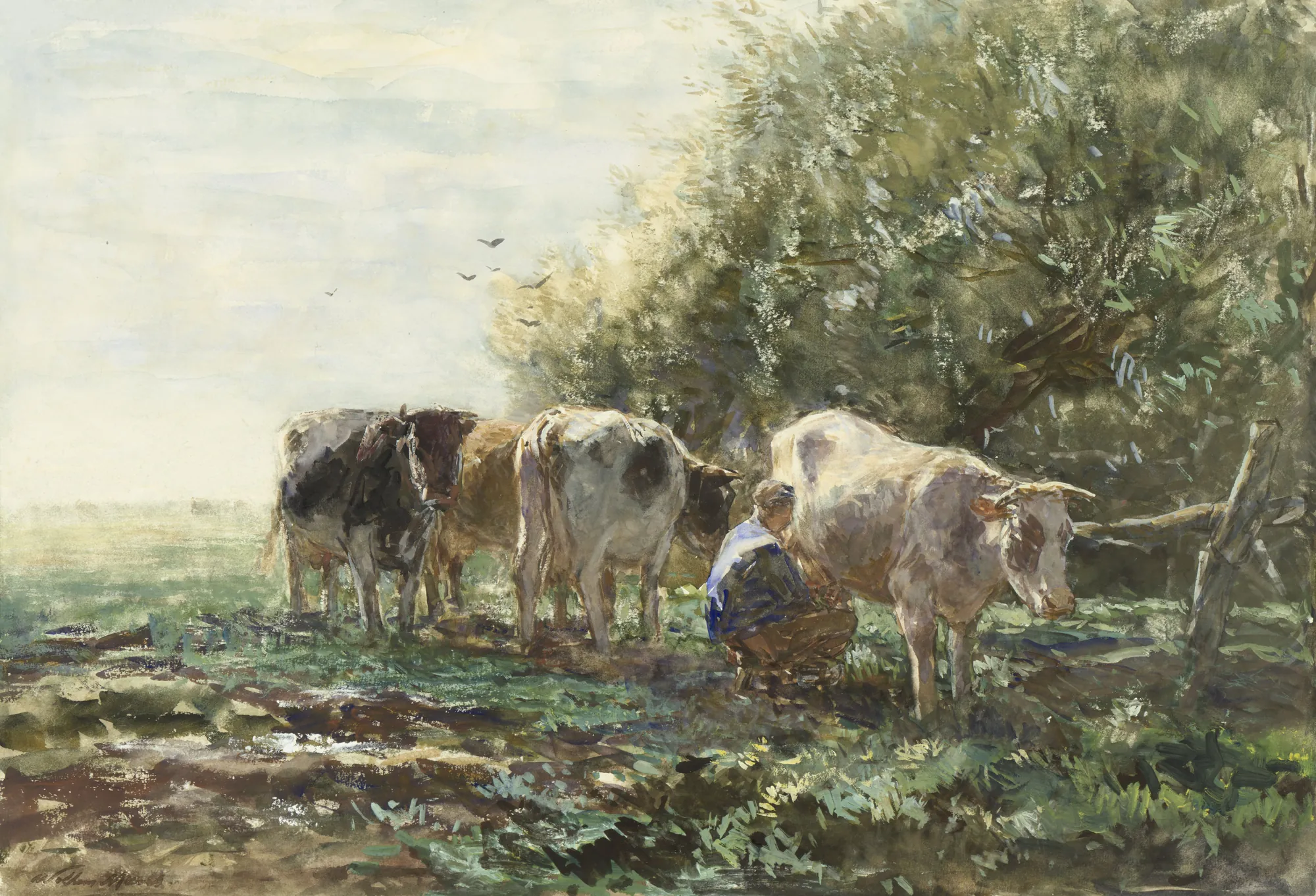 The Milking Corner