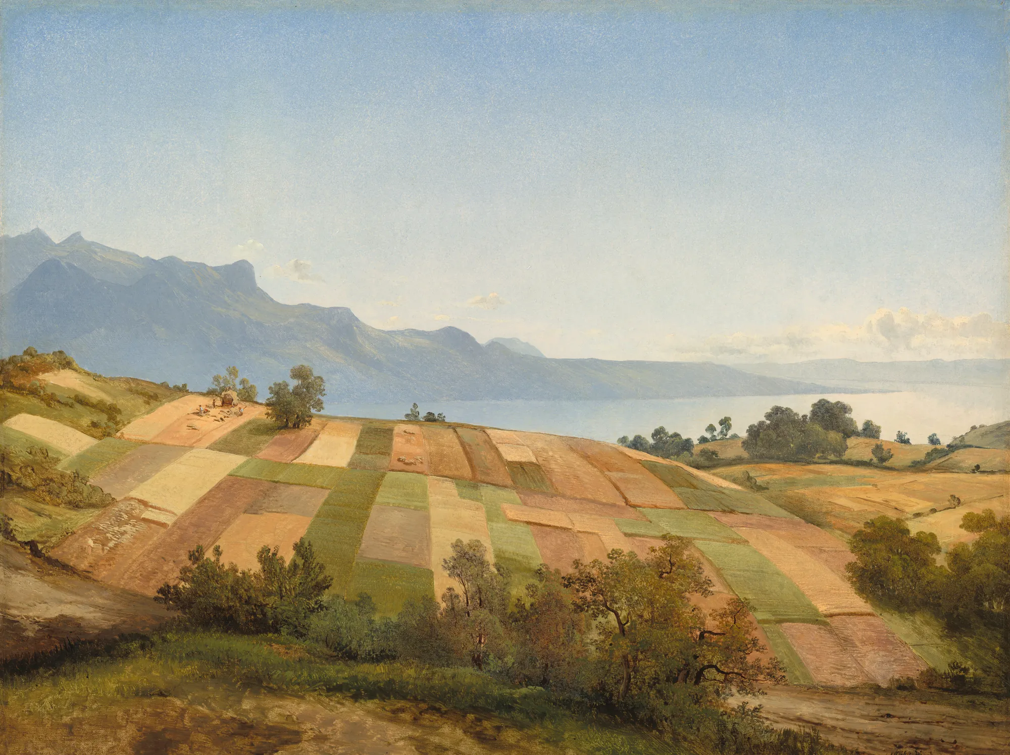 Swiss Landscape